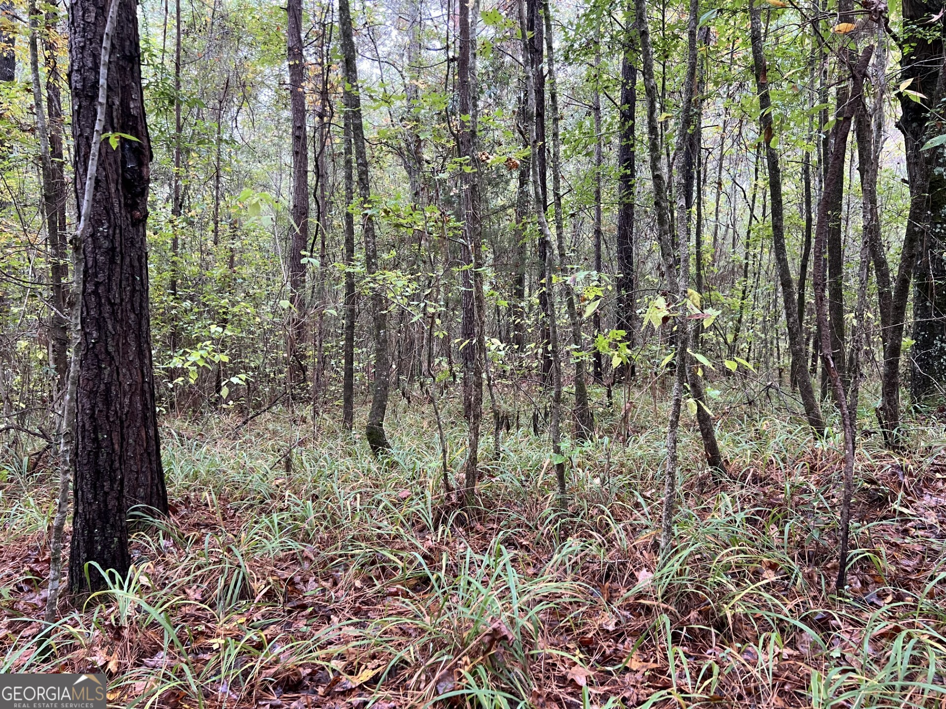 0 Clinton Crossing Property Photo 5