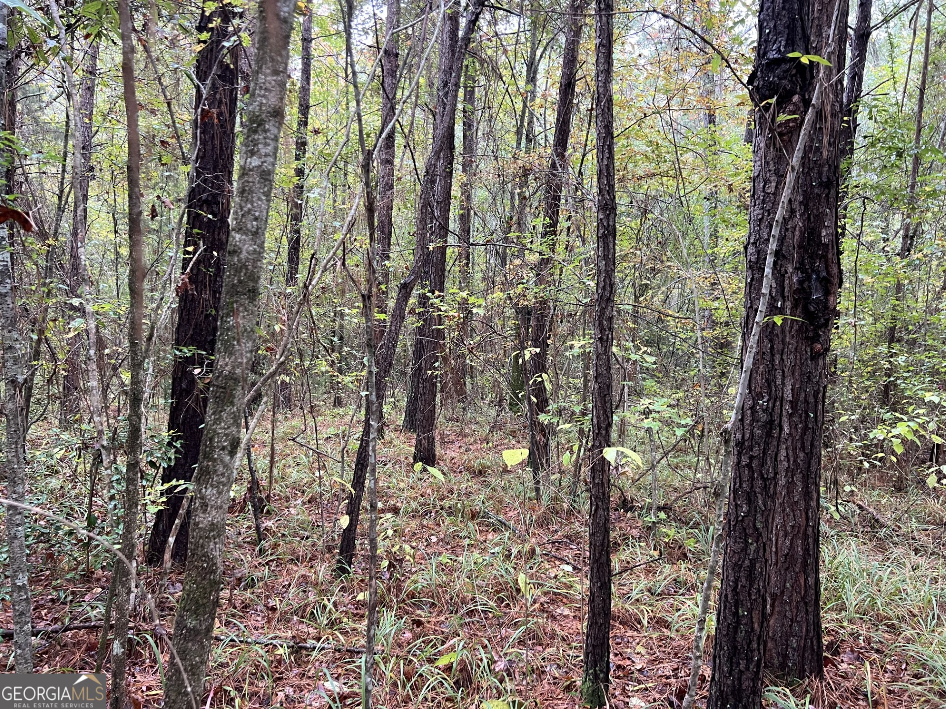 0 Clinton Crossing Property Photo 6