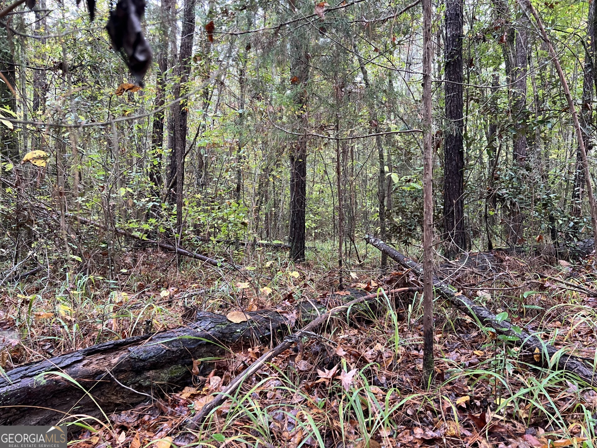 0 Clinton Crossing Property Photo 7