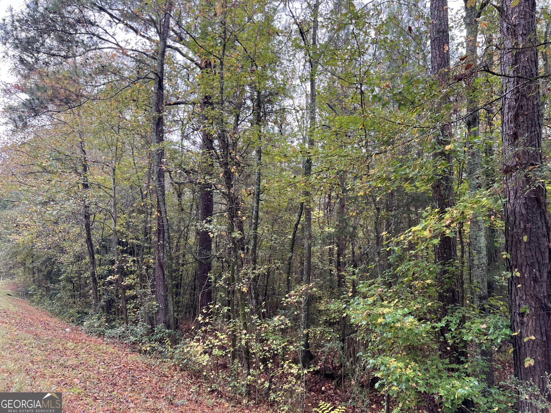0 Clinton Crossing Property Photo 8