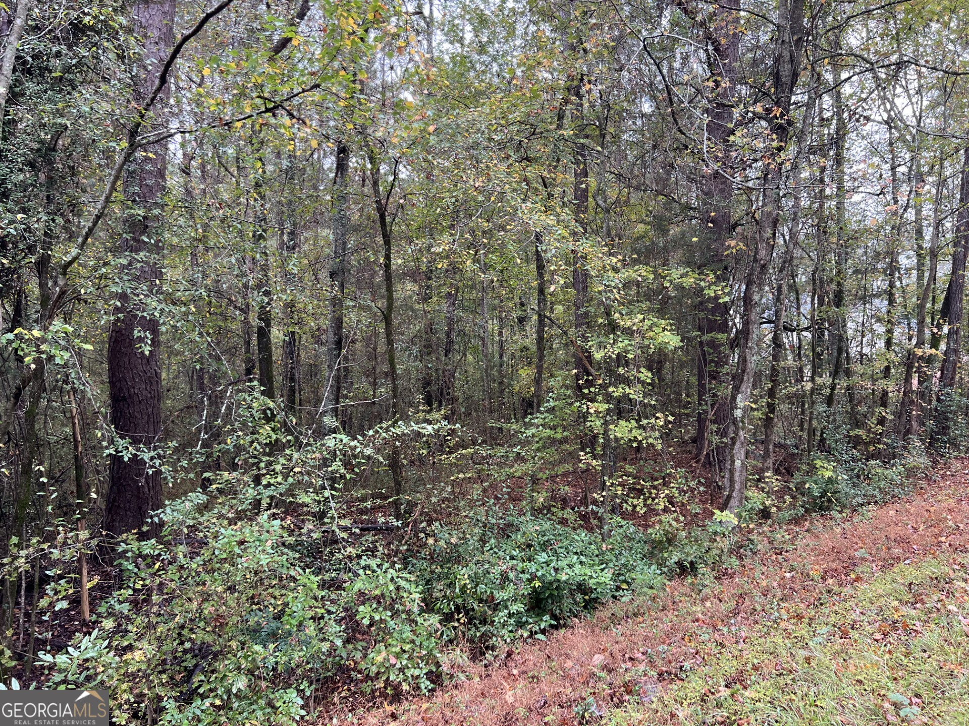 0 Clinton Crossing Property Photo 10