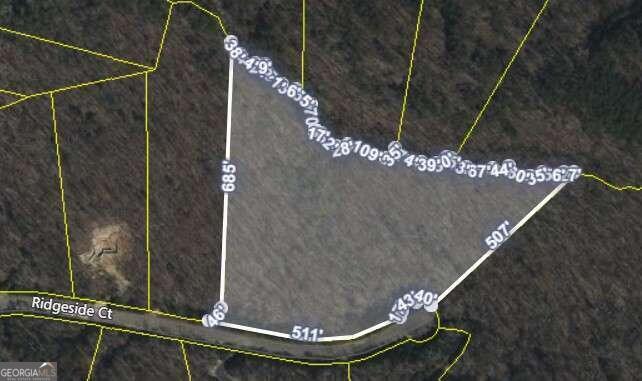 298 Ridgeside Court Property Photo 4