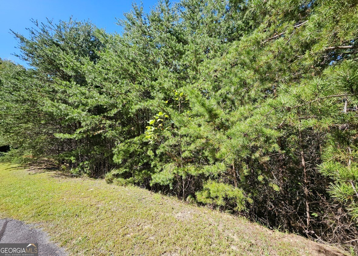 298 Ridgeside Court Property Photo 6
