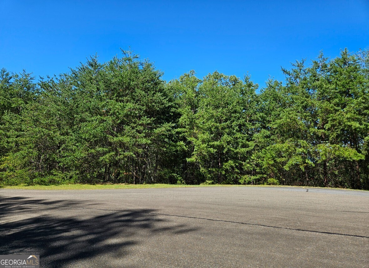 298 Ridgeside Court Property Photo 7