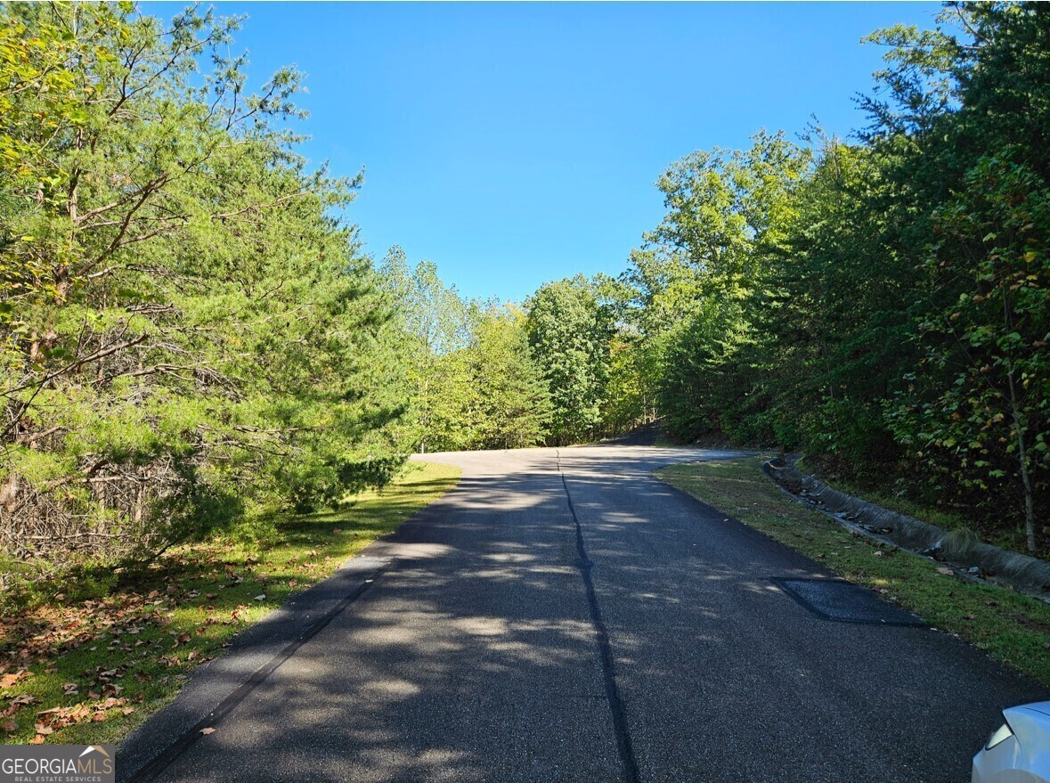 298 Ridgeside Court Property Photo 8