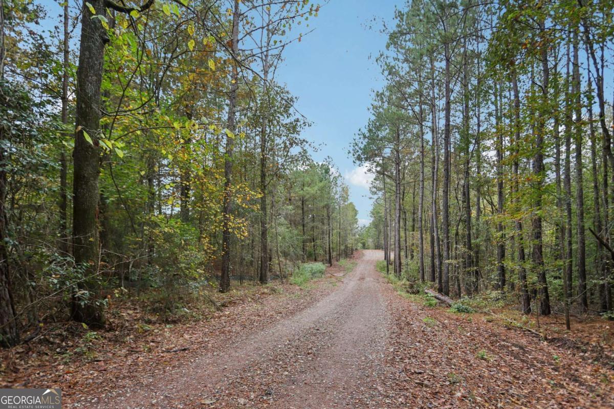 5467 Highway 162 S Property Photo 5