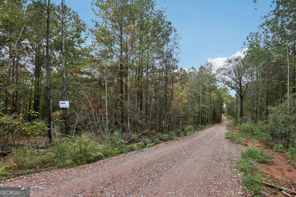 5467 Highway 162 S Property Photo 40