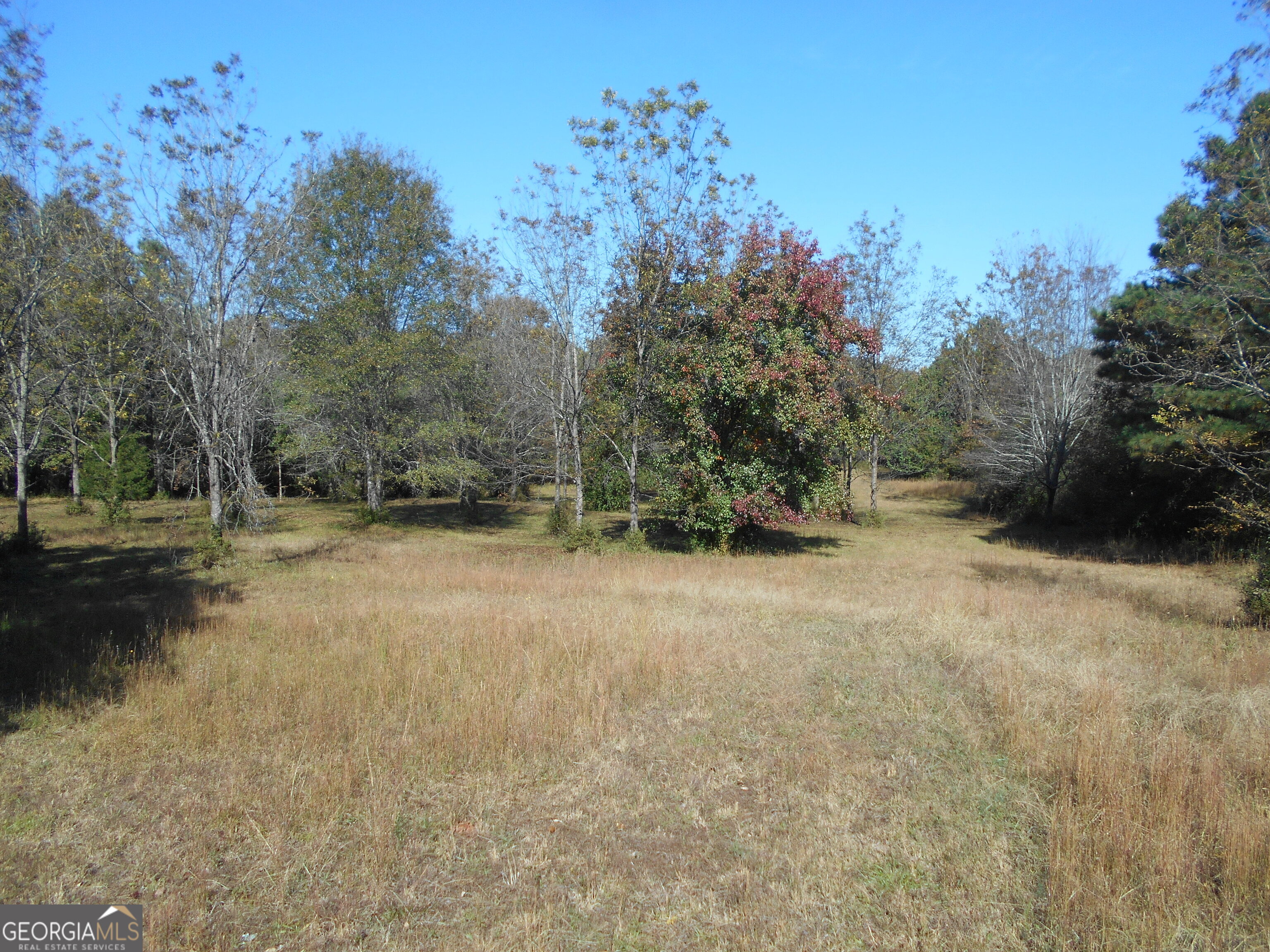 1230 Good Hope Road Property Photo 44