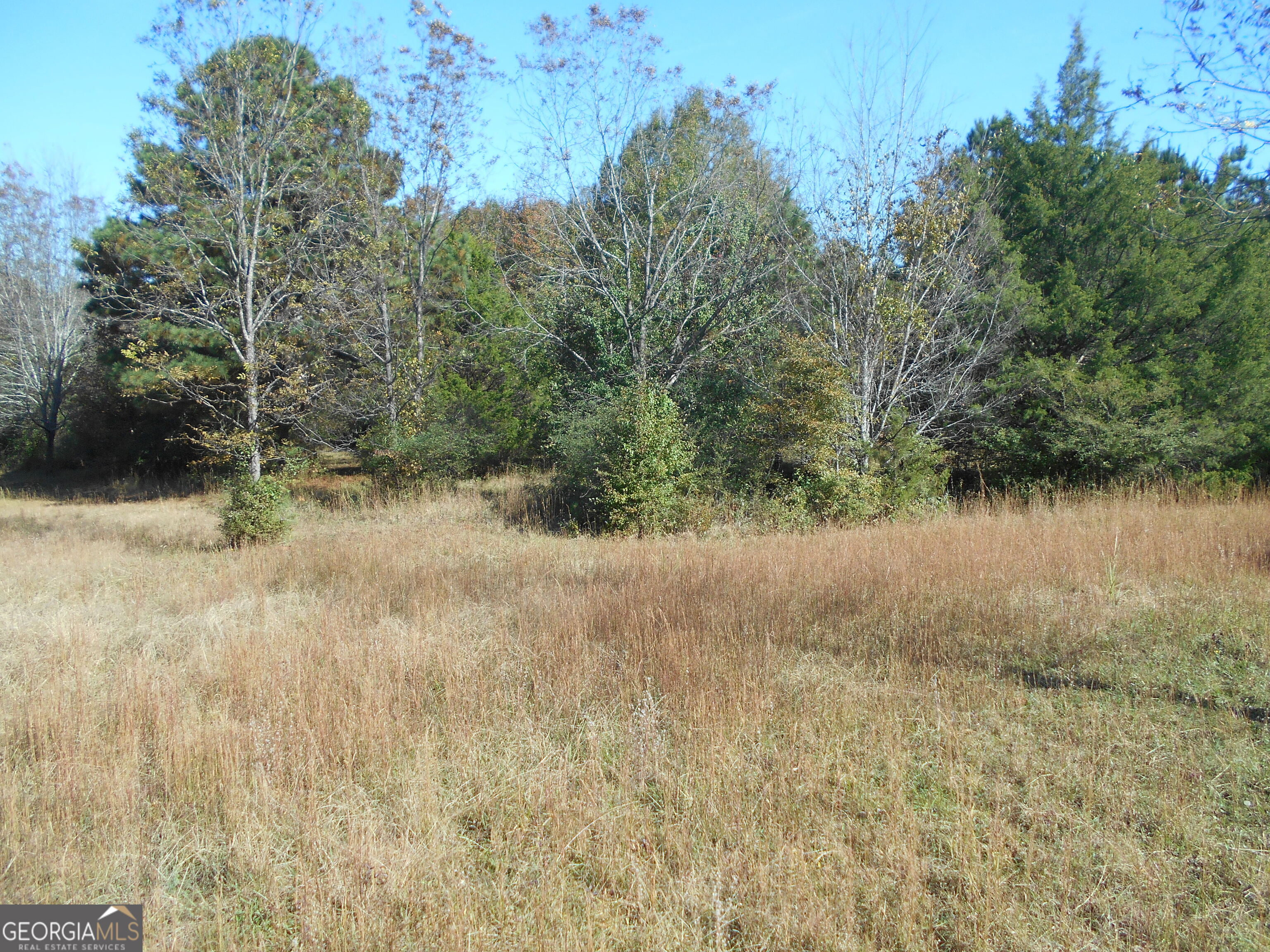 1230 Good Hope Road Property Photo 45