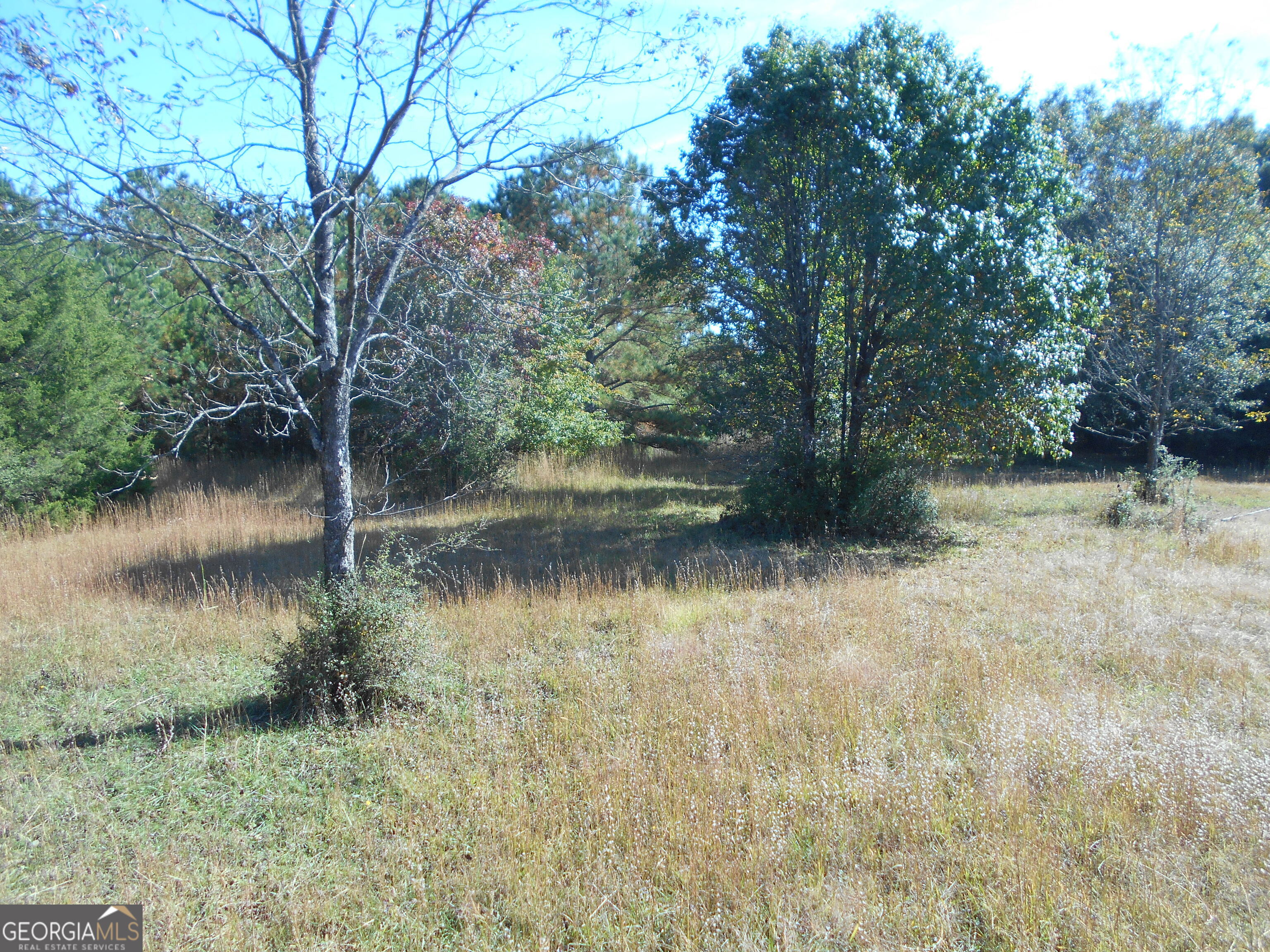 1230 Good Hope Road Property Photo 46