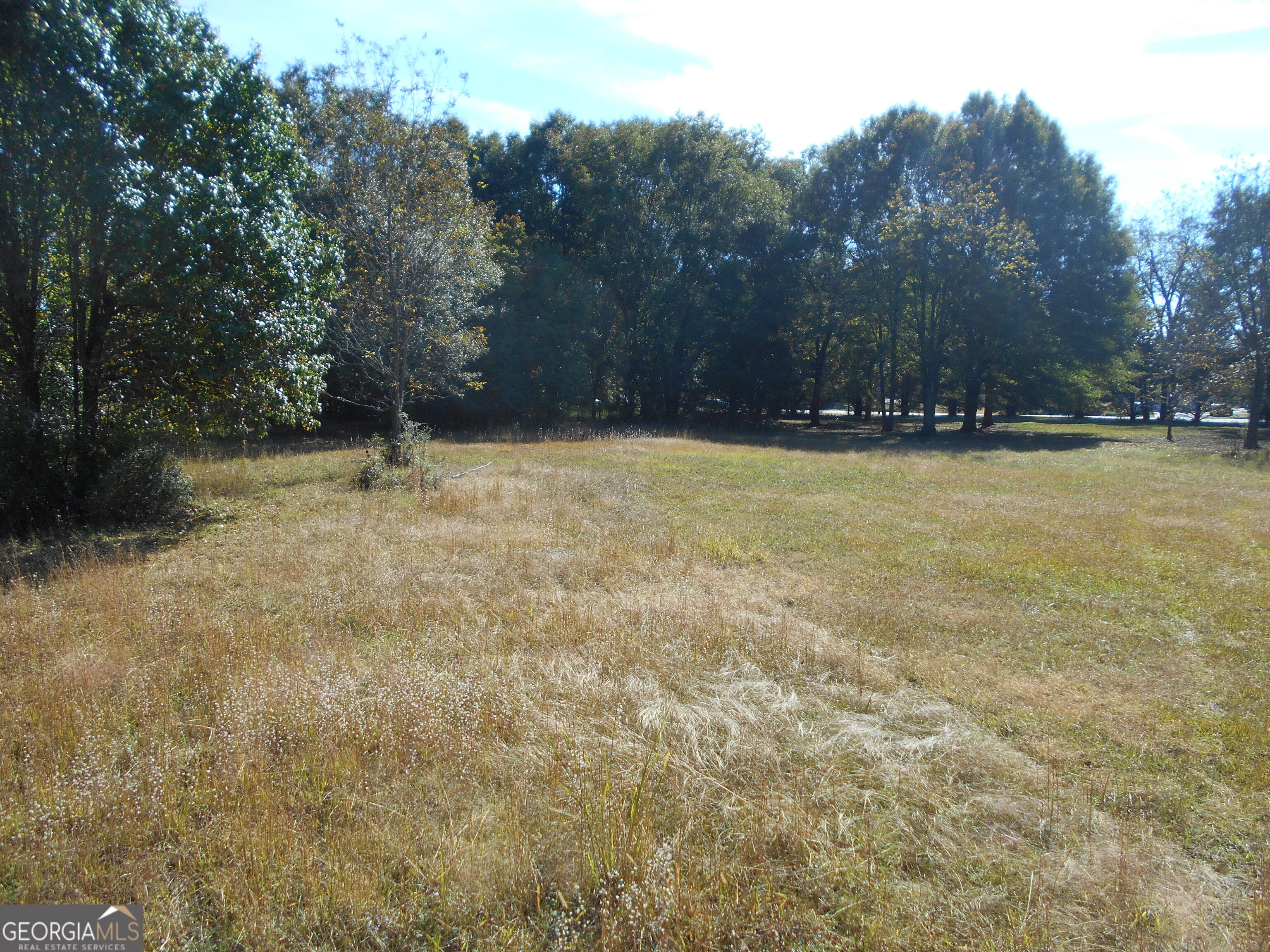 1230 Good Hope Road Property Photo 47