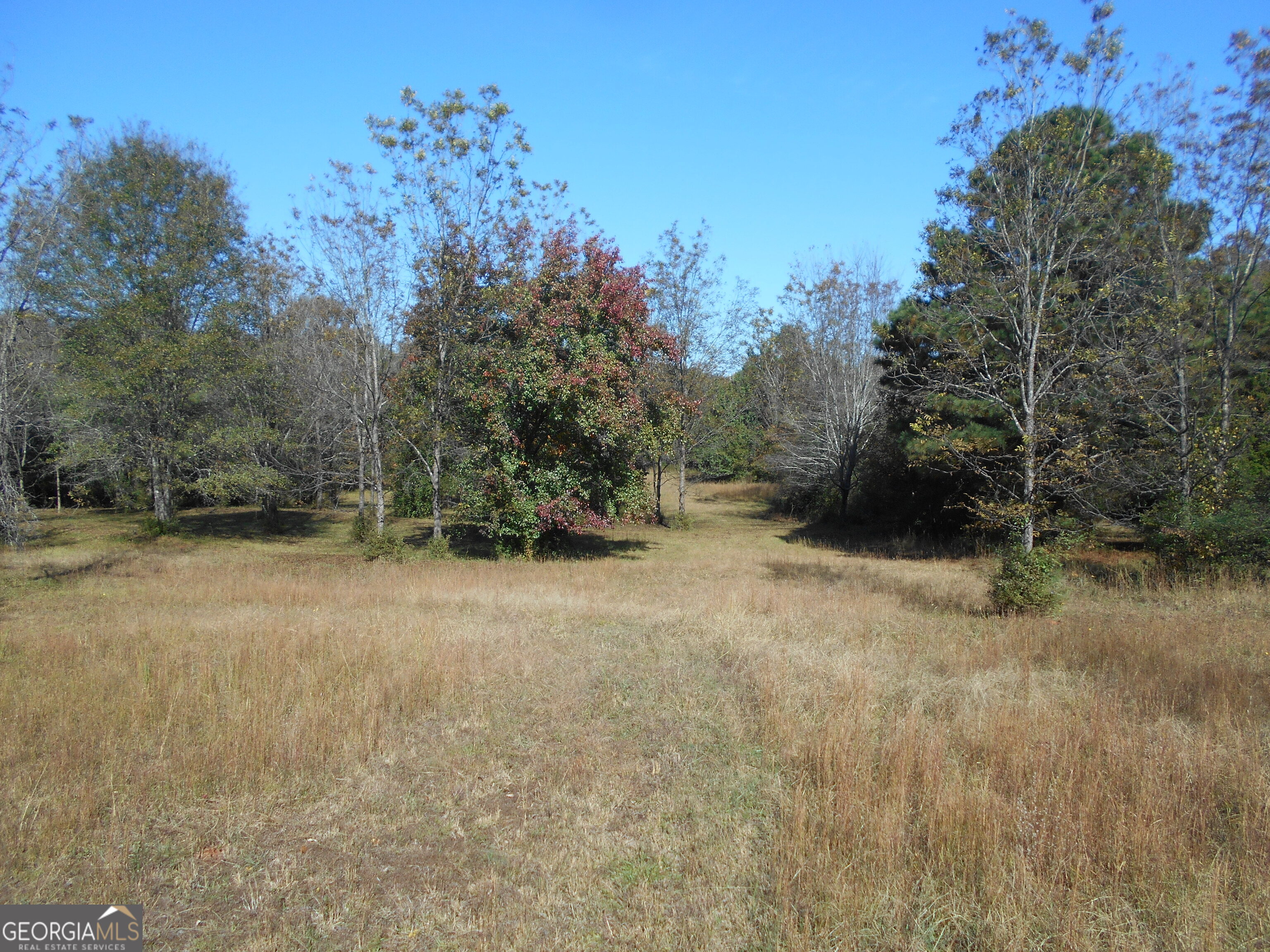 1230 Good Hope Road Property Photo 48