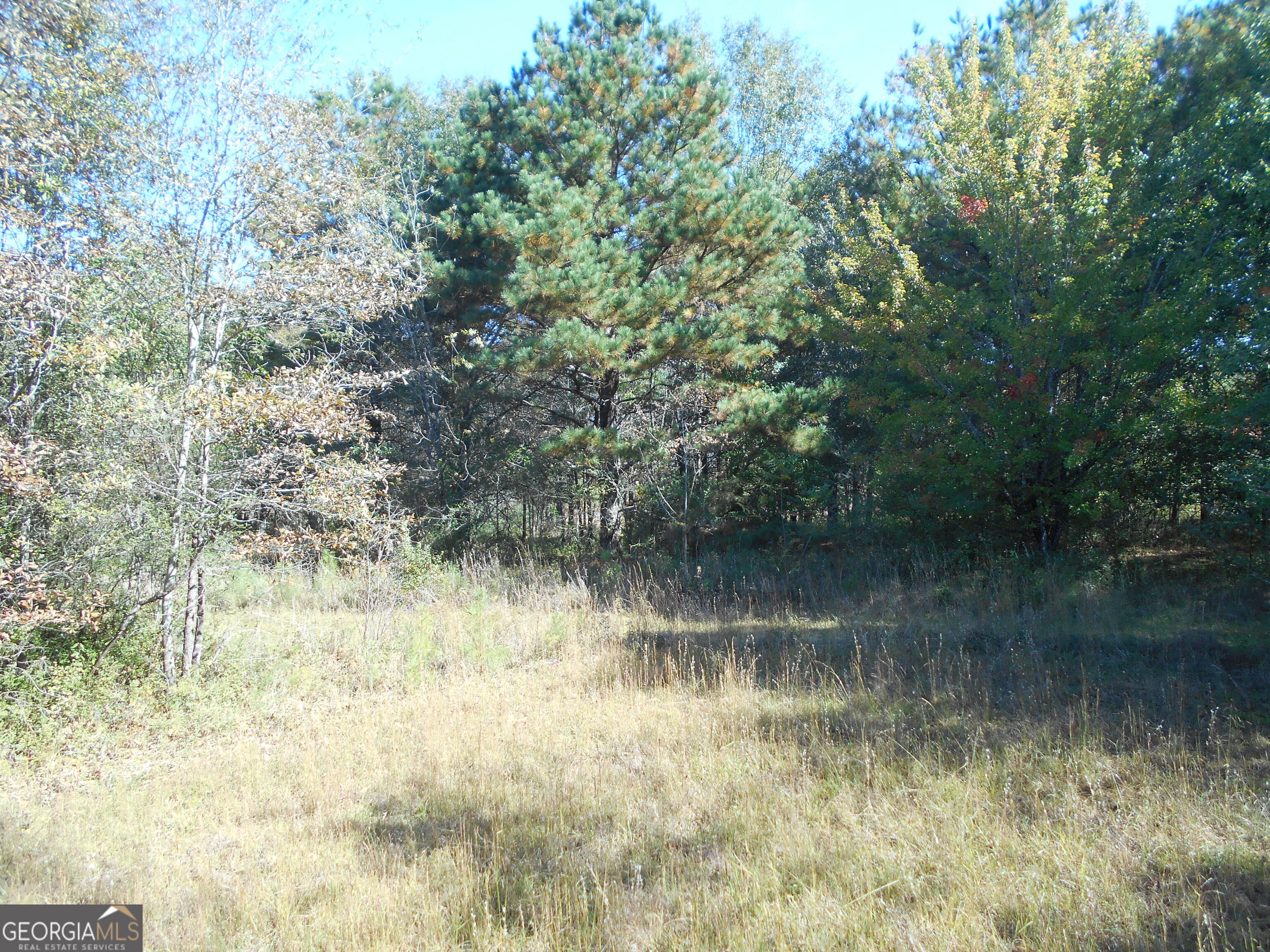 1230 Good Hope Road Property Photo 49