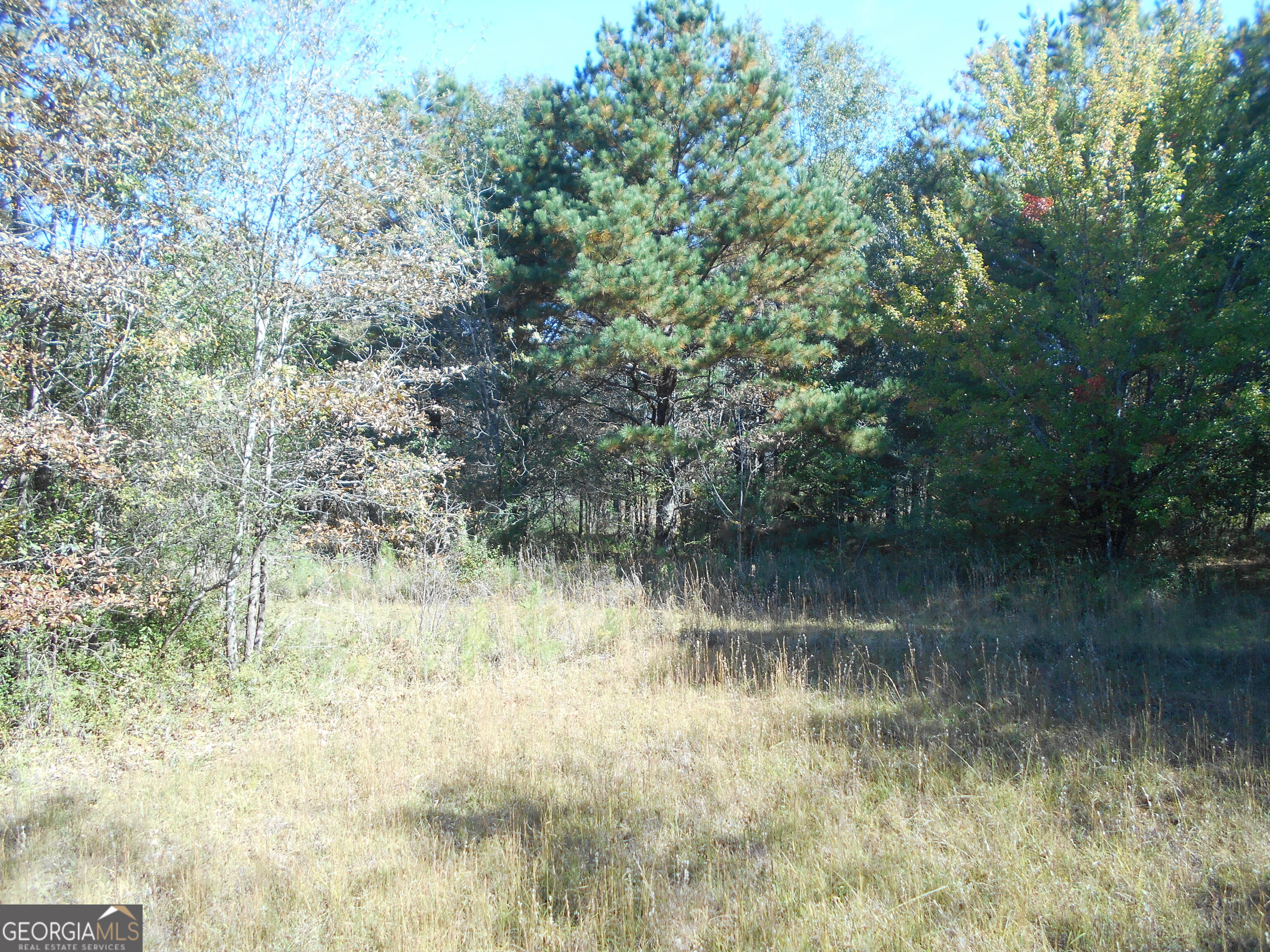 1230 Good Hope Road Property Photo 50