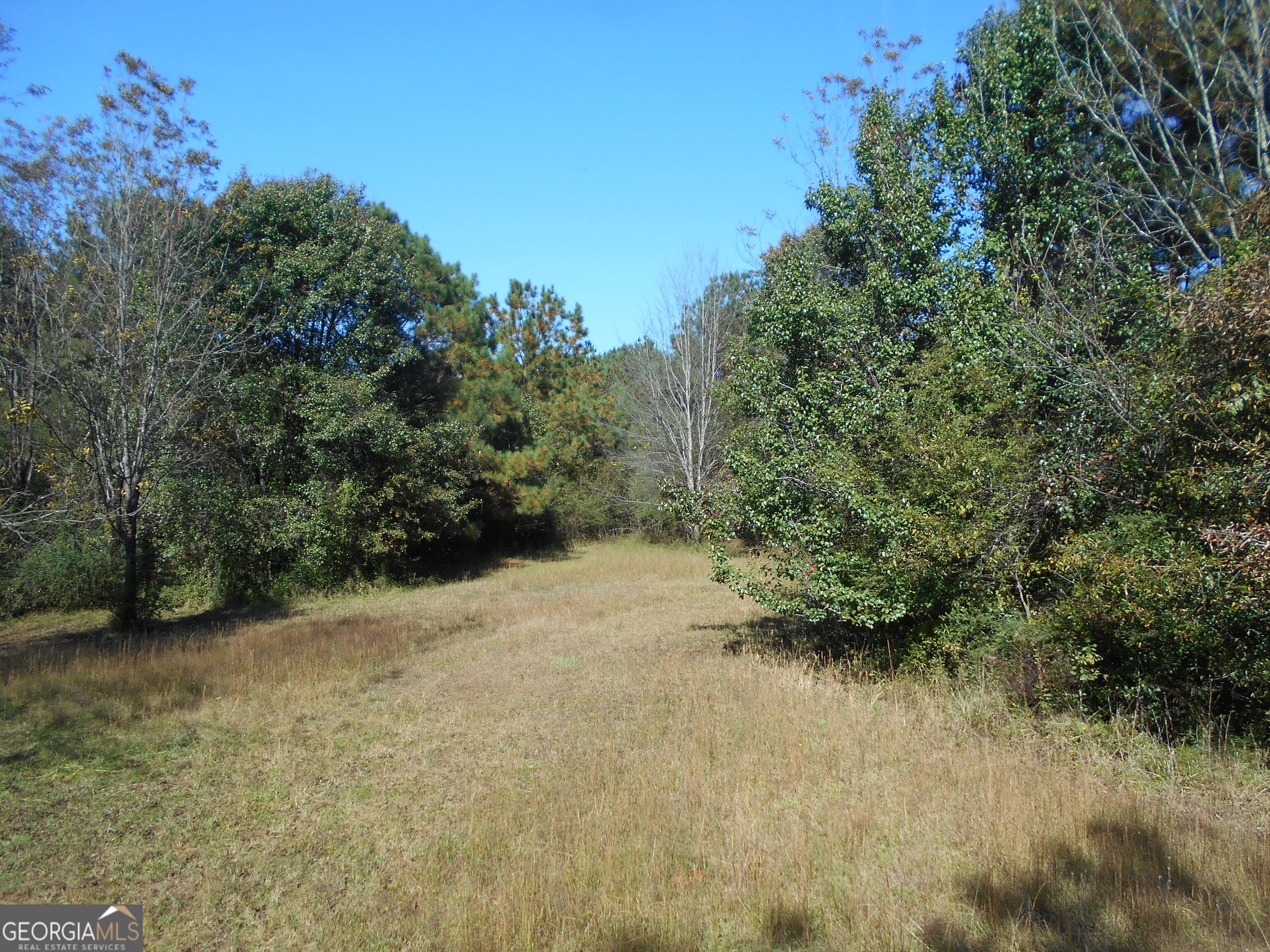 1230 Good Hope Road Property Photo 51