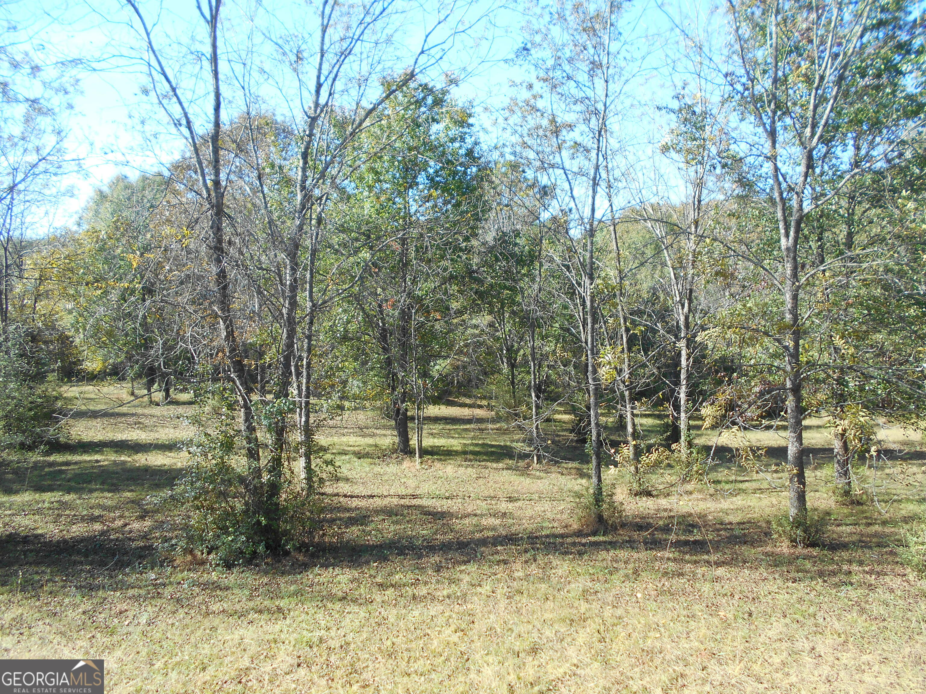1230 Good Hope Road Property Photo 52