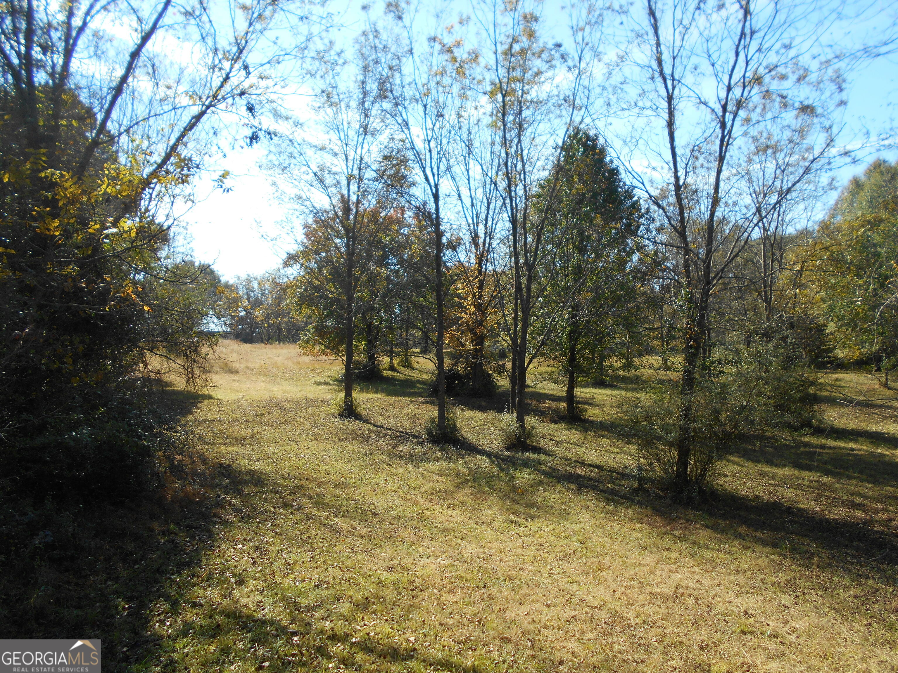 1230 Good Hope Road Property Photo 53