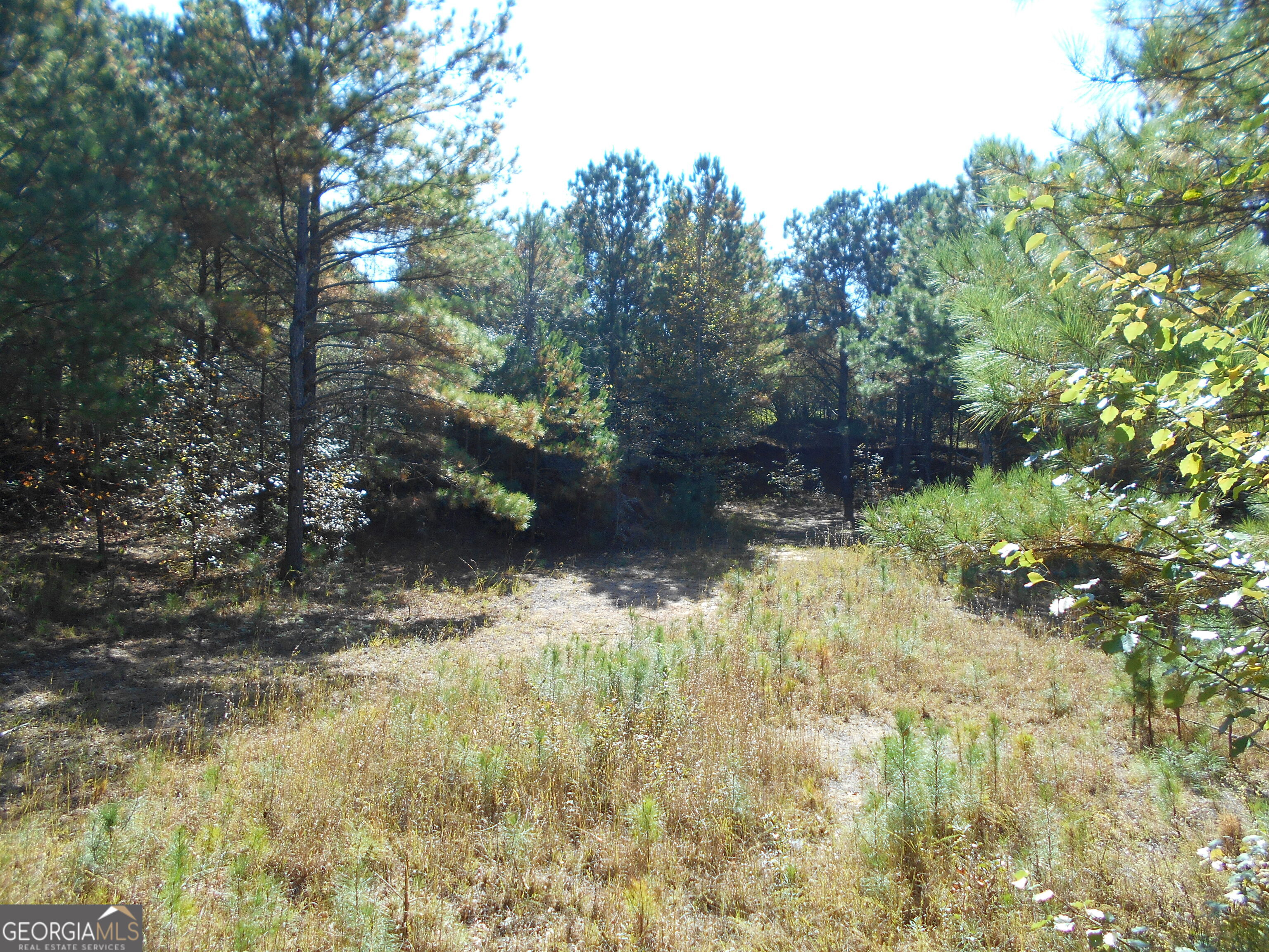 1230 Good Hope Road Property Photo 54