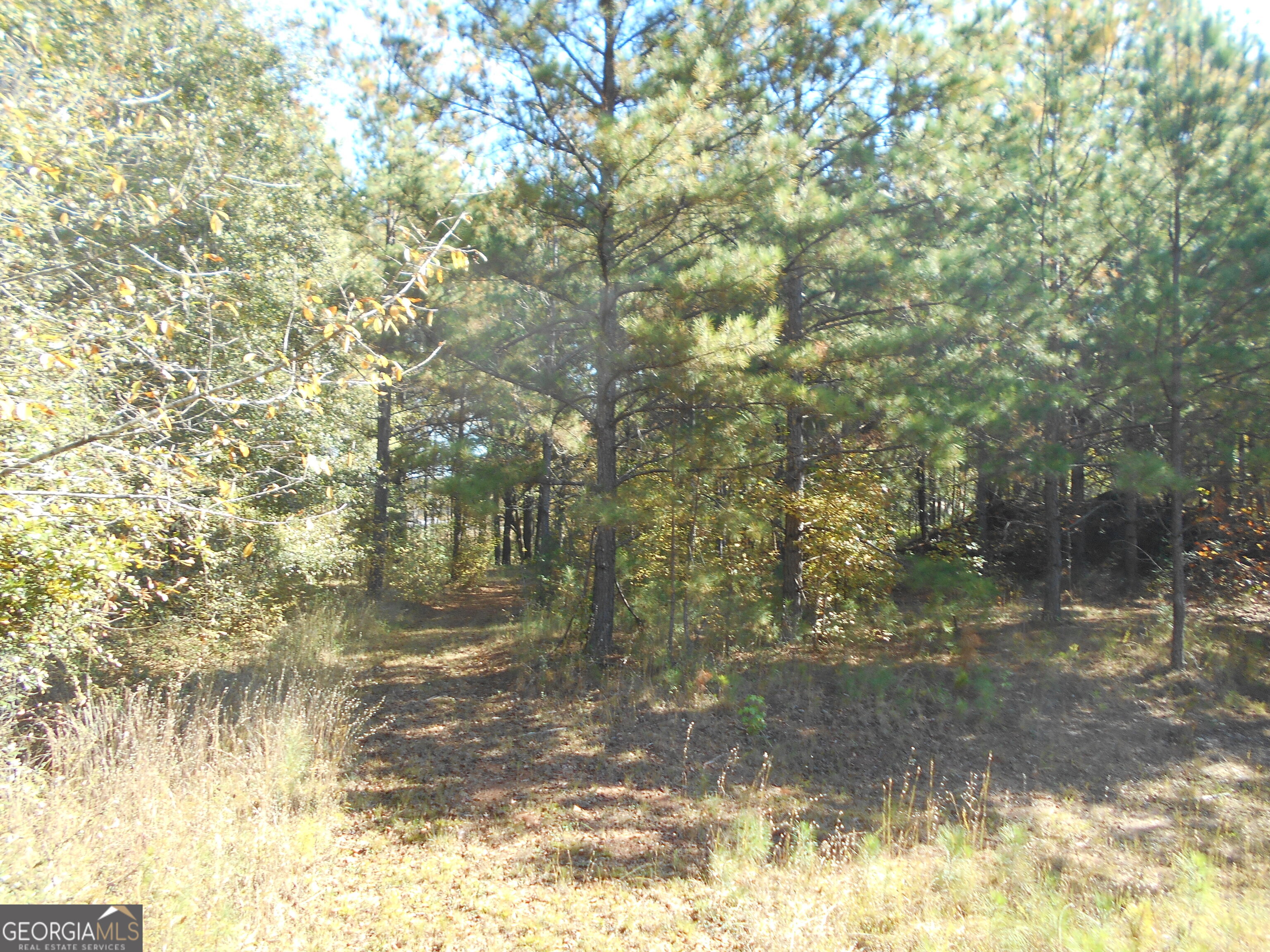 1230 Good Hope Road Property Photo 55
