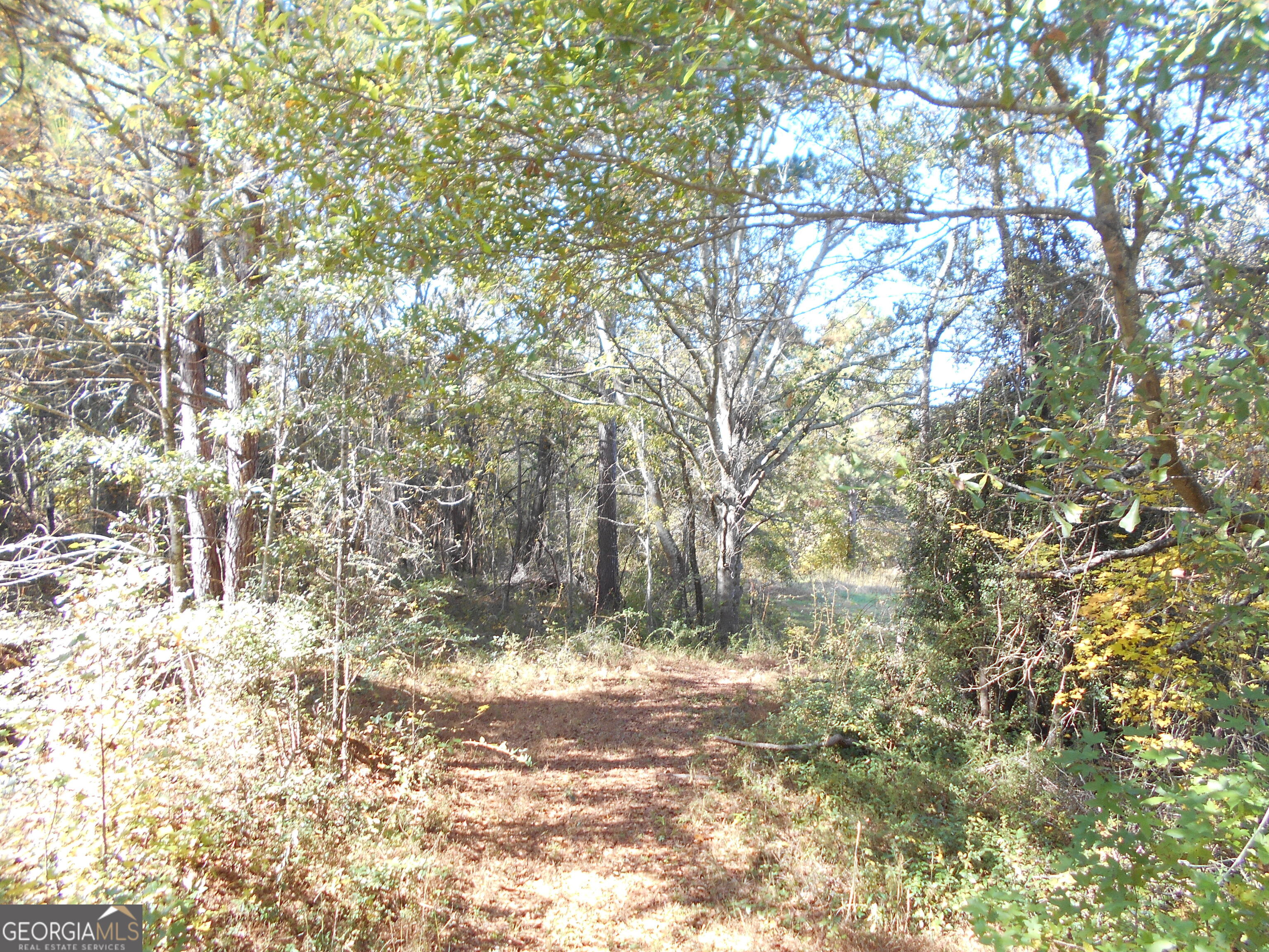 1230 Good Hope Road Property Photo 56