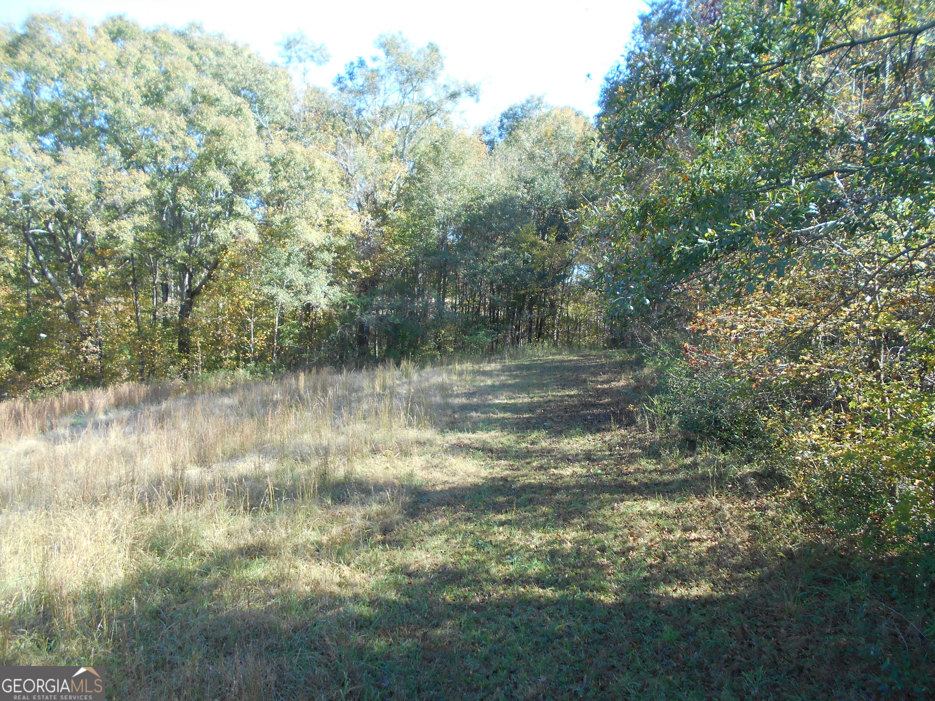 1230 Good Hope Road Property Photo 57