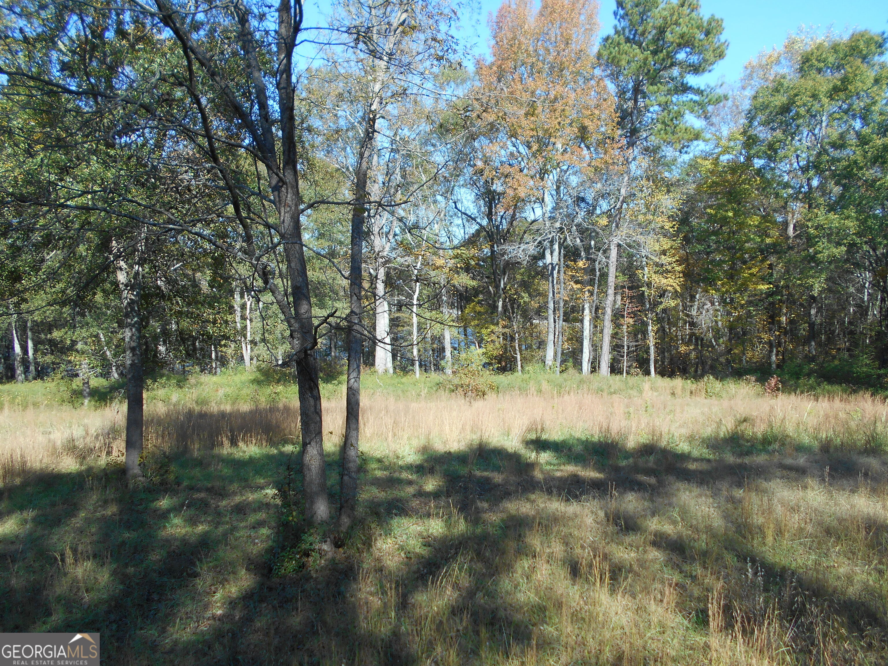 1230 Good Hope Road Property Photo 58