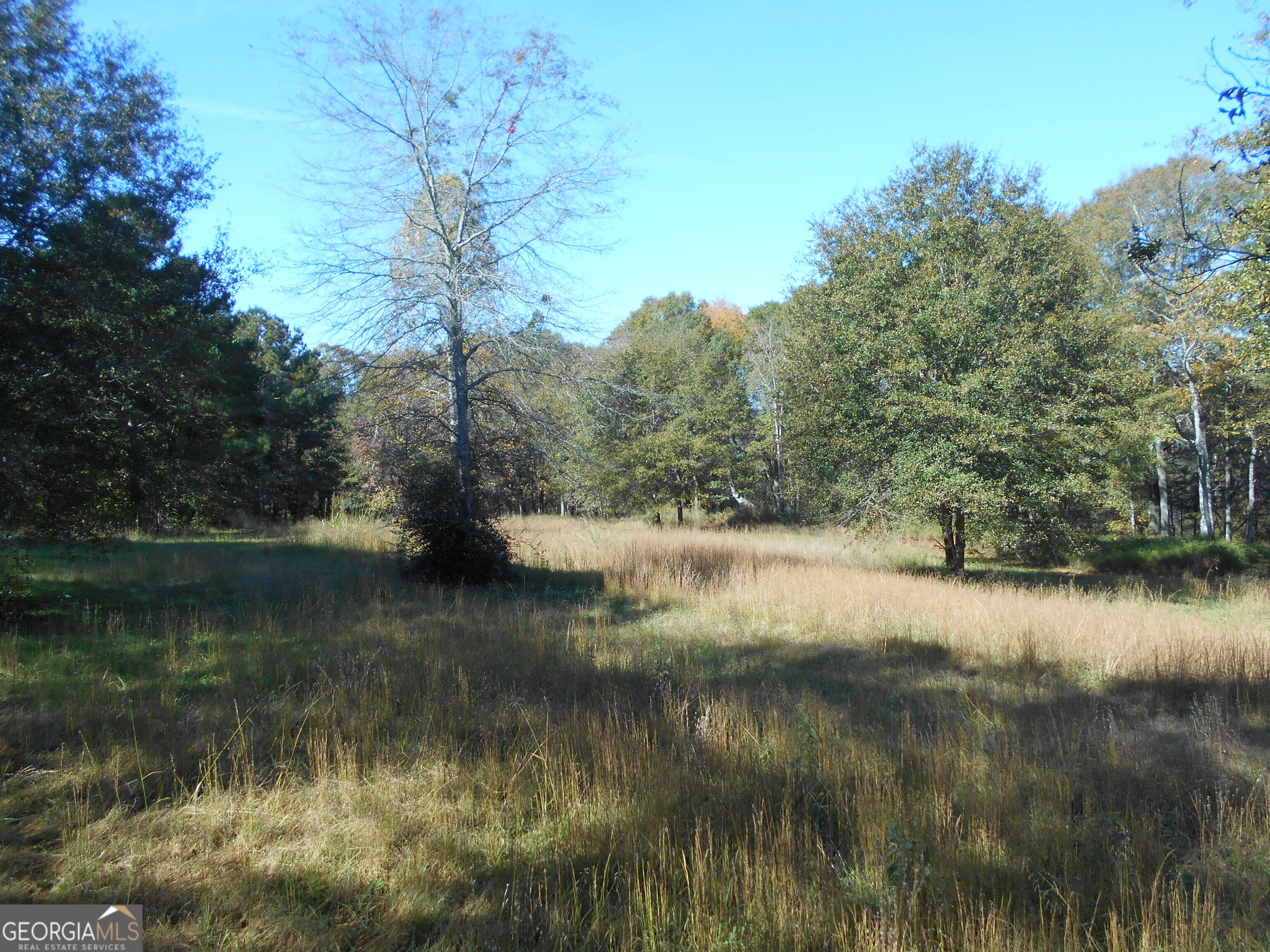 1230 Good Hope Road Property Photo 59