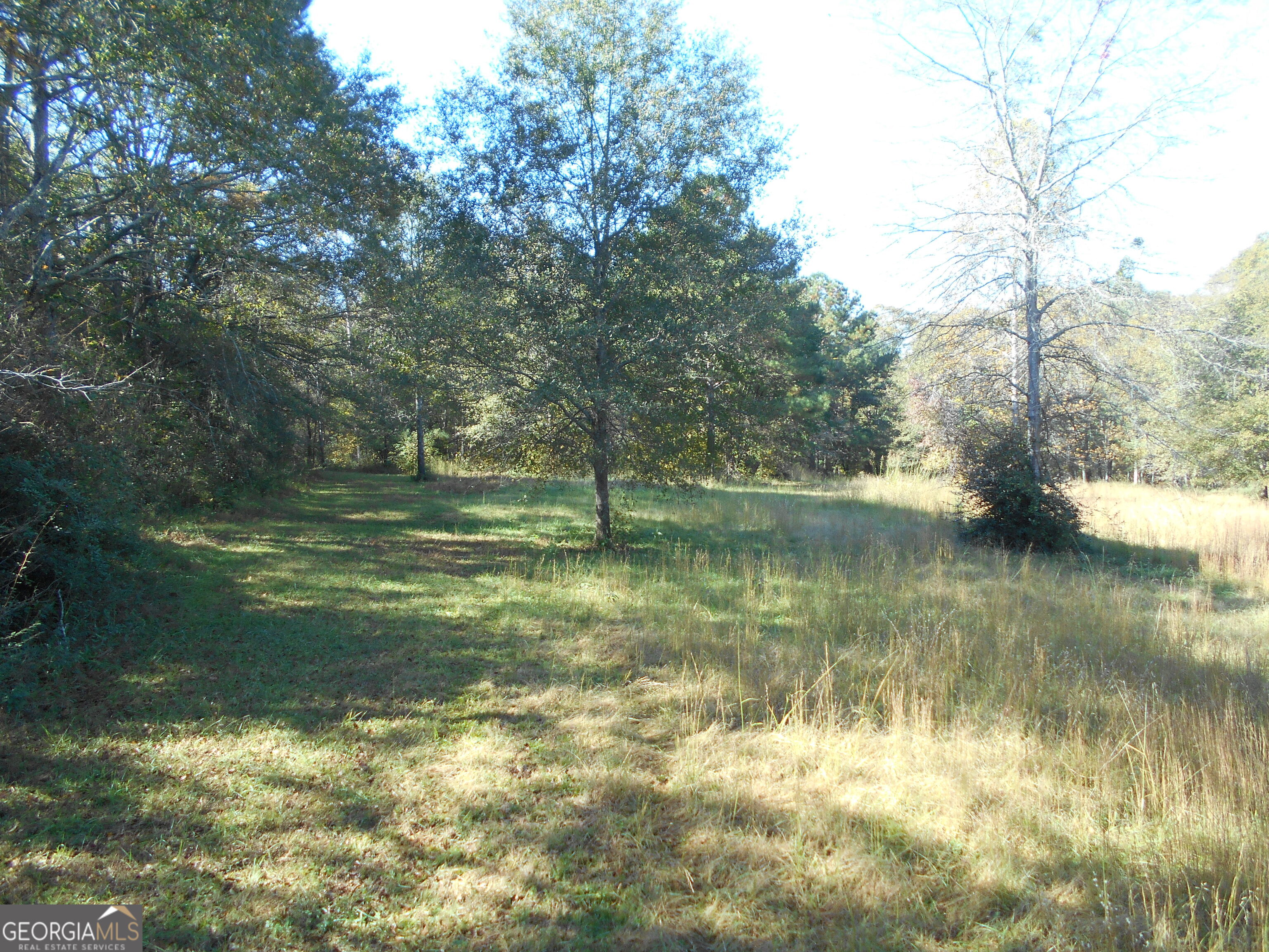 1230 Good Hope Road Property Photo 60