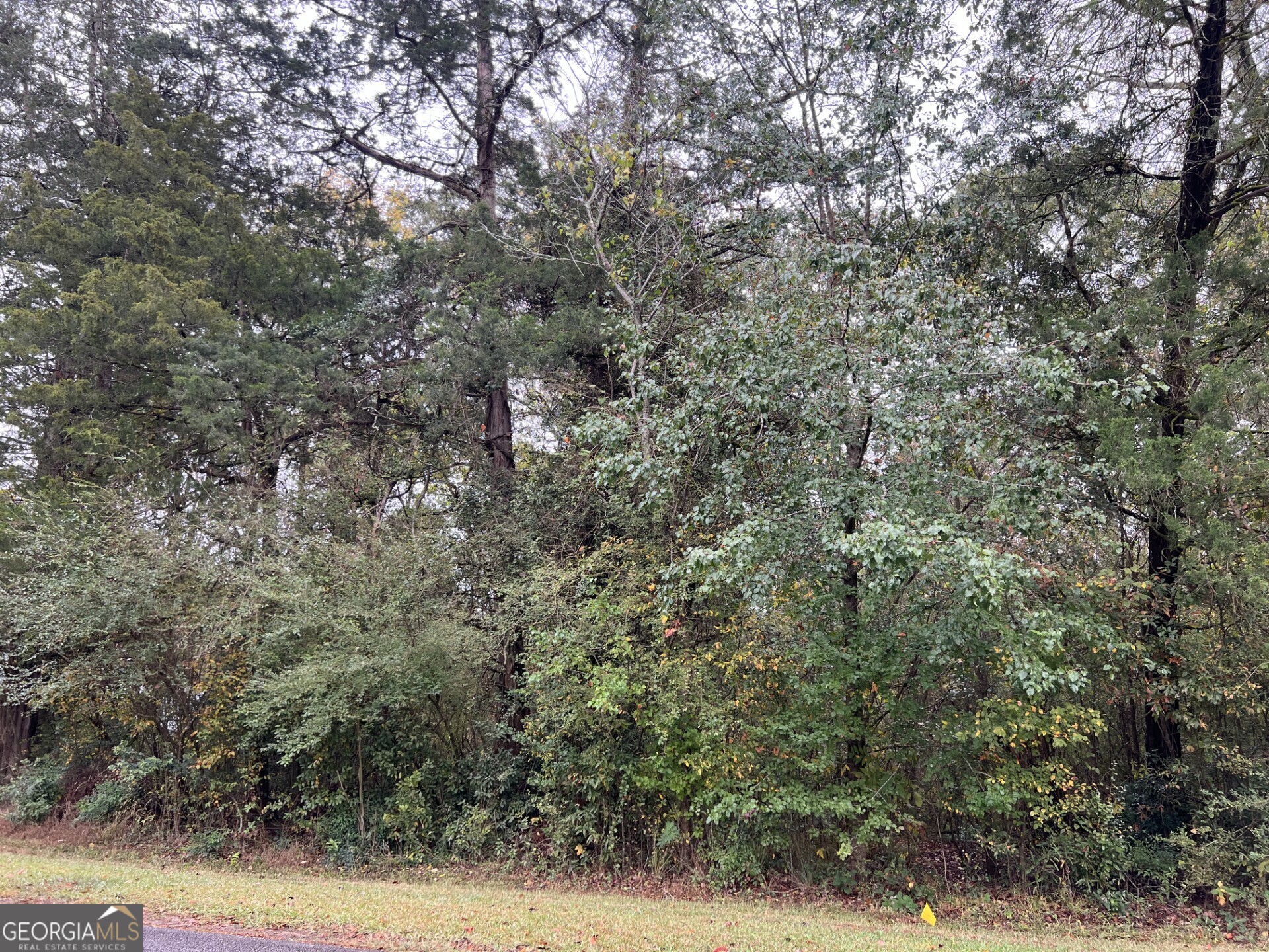 266 Clinton Crossing Drive Property Photo 3