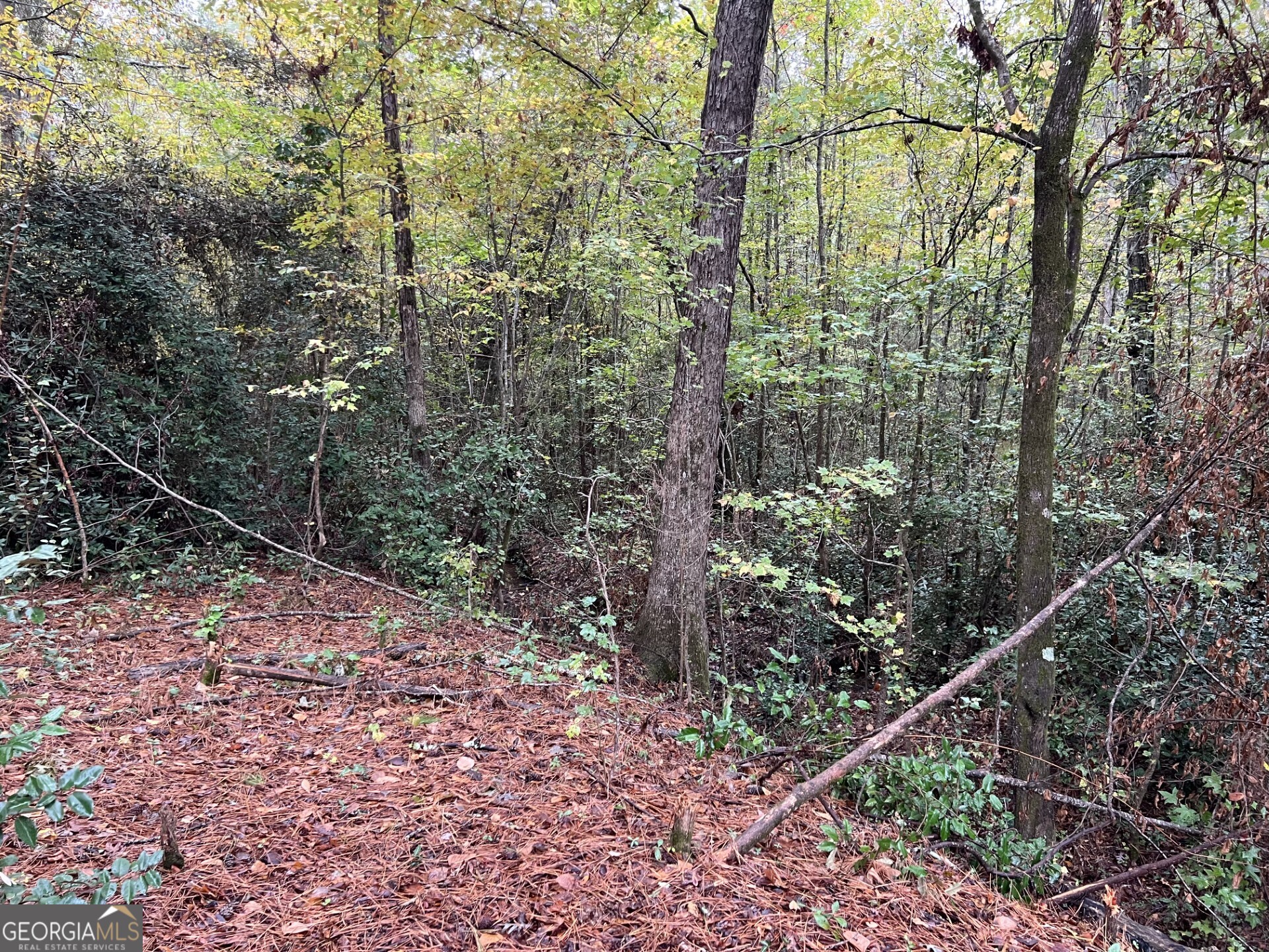 146 Lite N Tie Road Property Photo 1