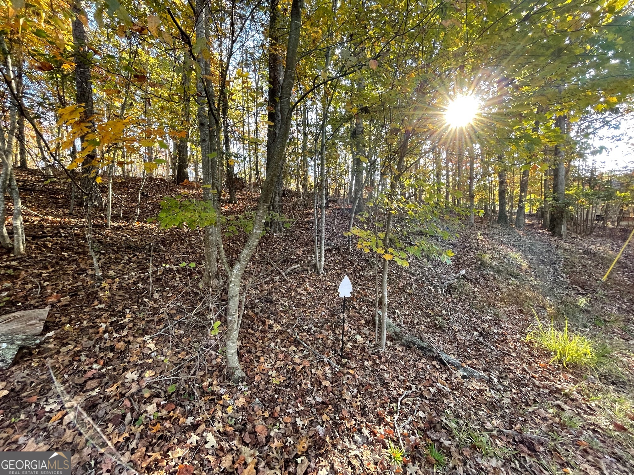 Lot 87 N Foxglove Road Property Photo 1