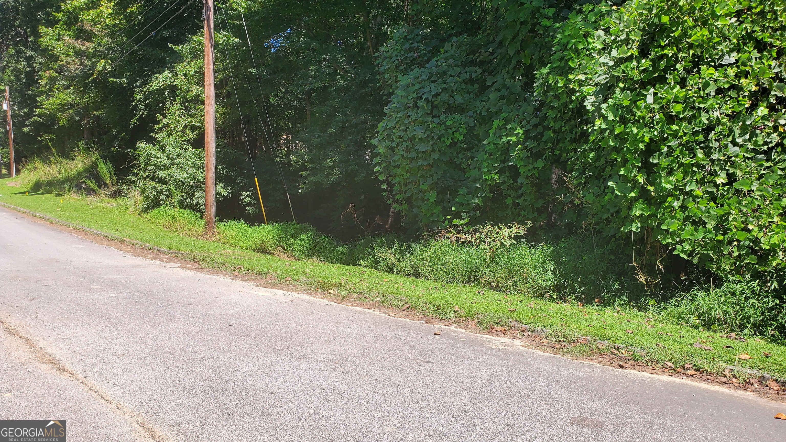 0 (4989 ?) Hidden Branch Drive