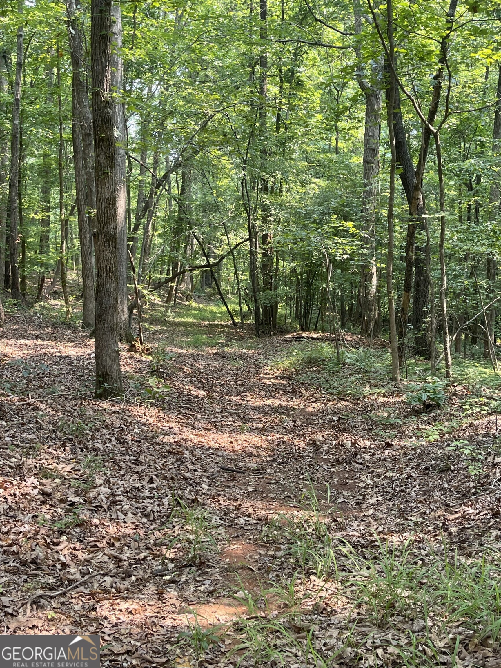 5447 Winder Highway Property Photo 10