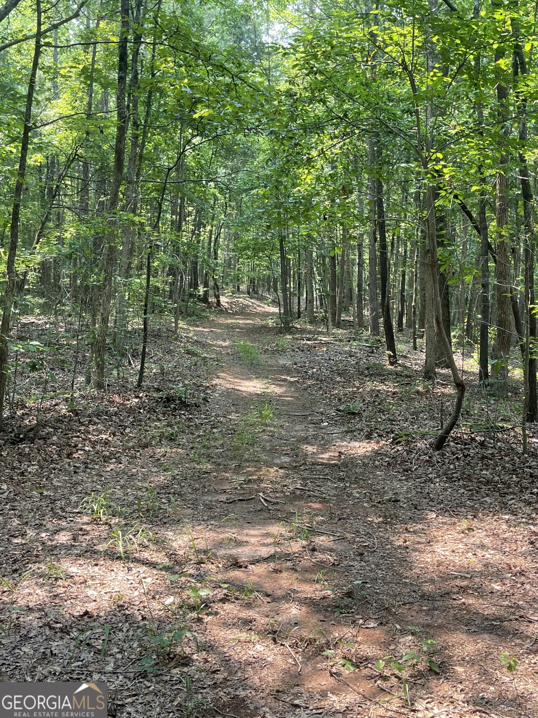 5447 Winder Highway Property Photo 11