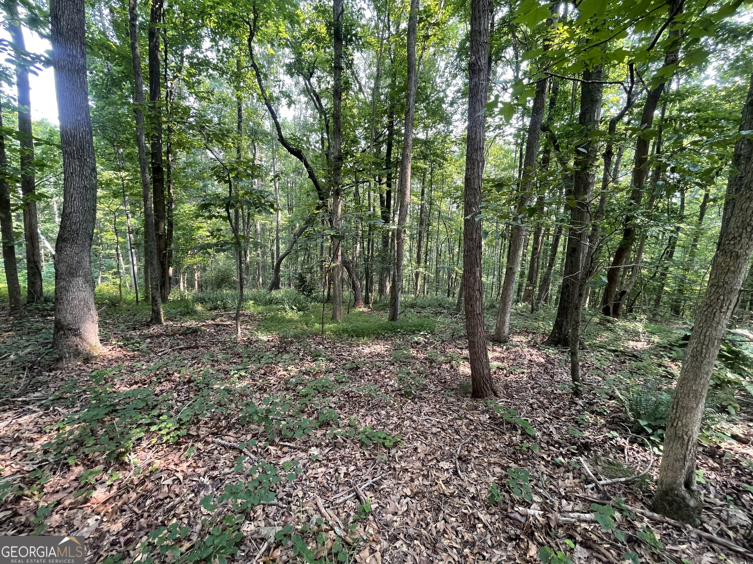 5447 Winder Highway Property Photo 12