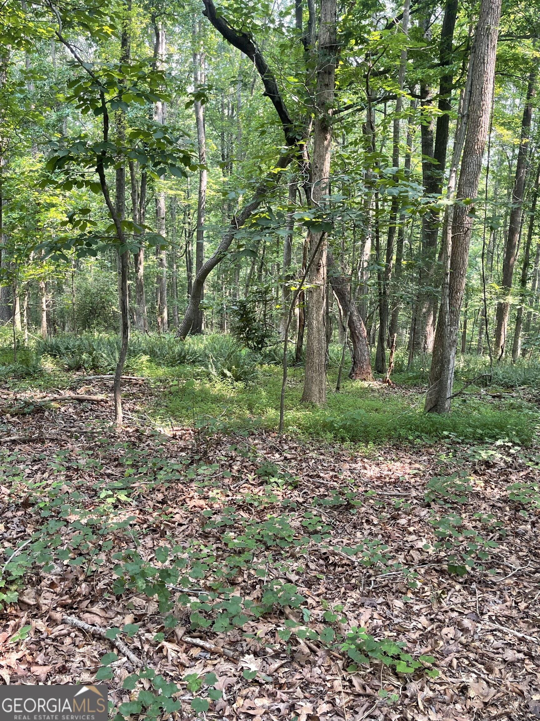 5447 Winder Highway Property Photo 13