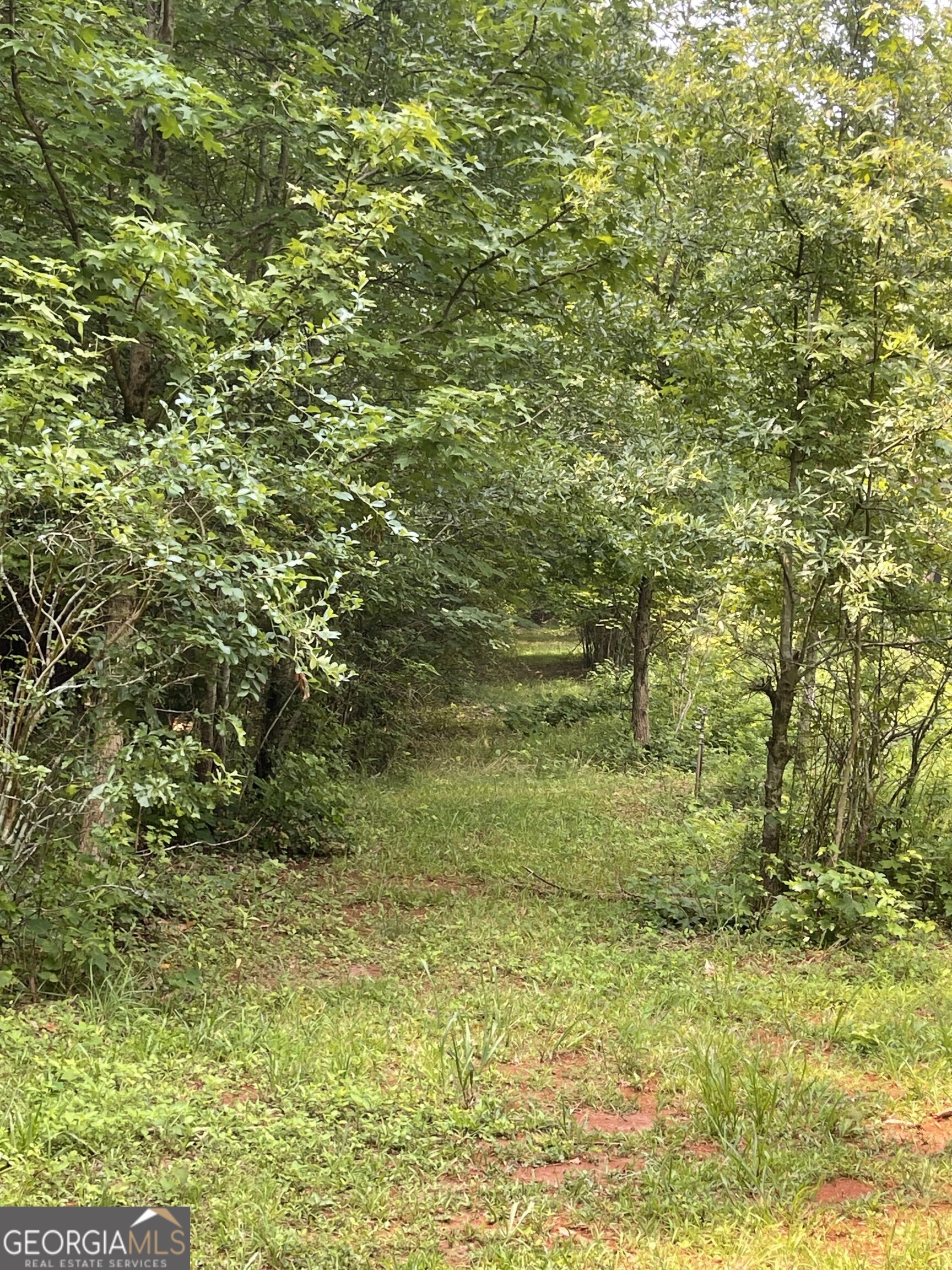 5447 Winder Highway Property Photo 15