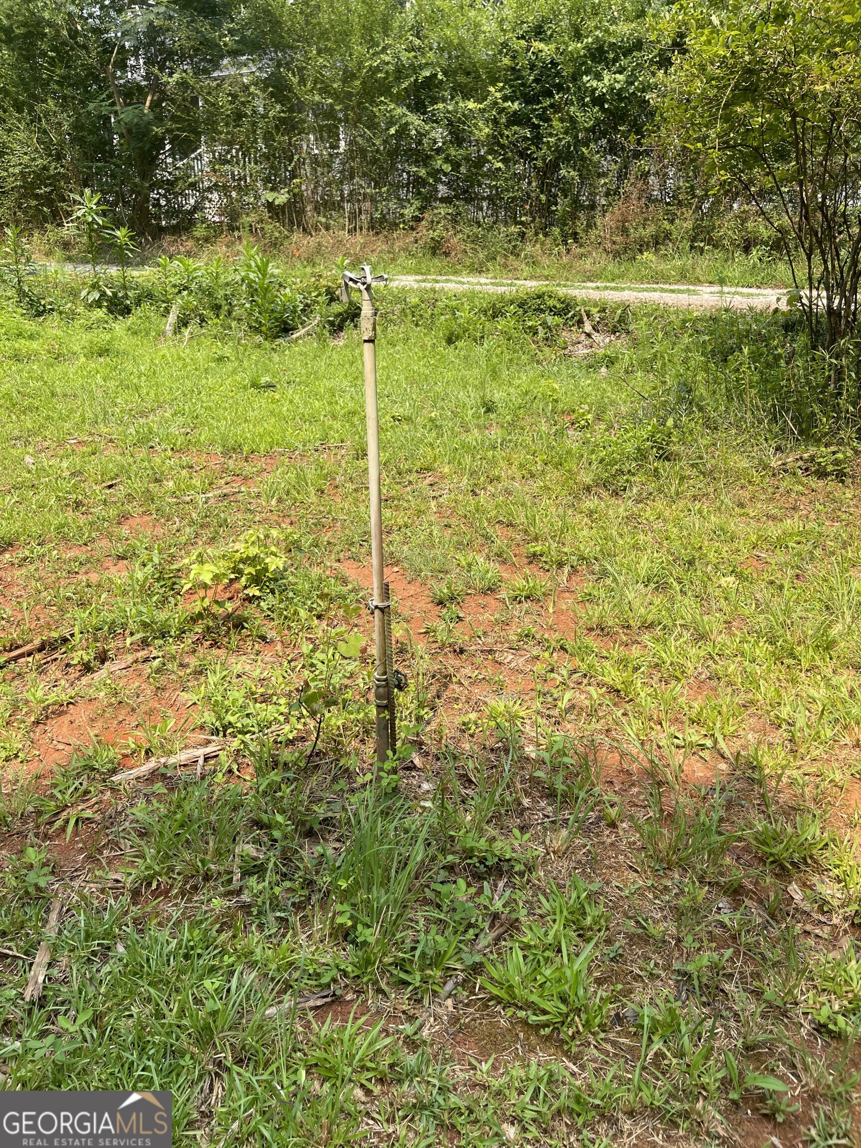5447 Winder Highway Property Photo 16