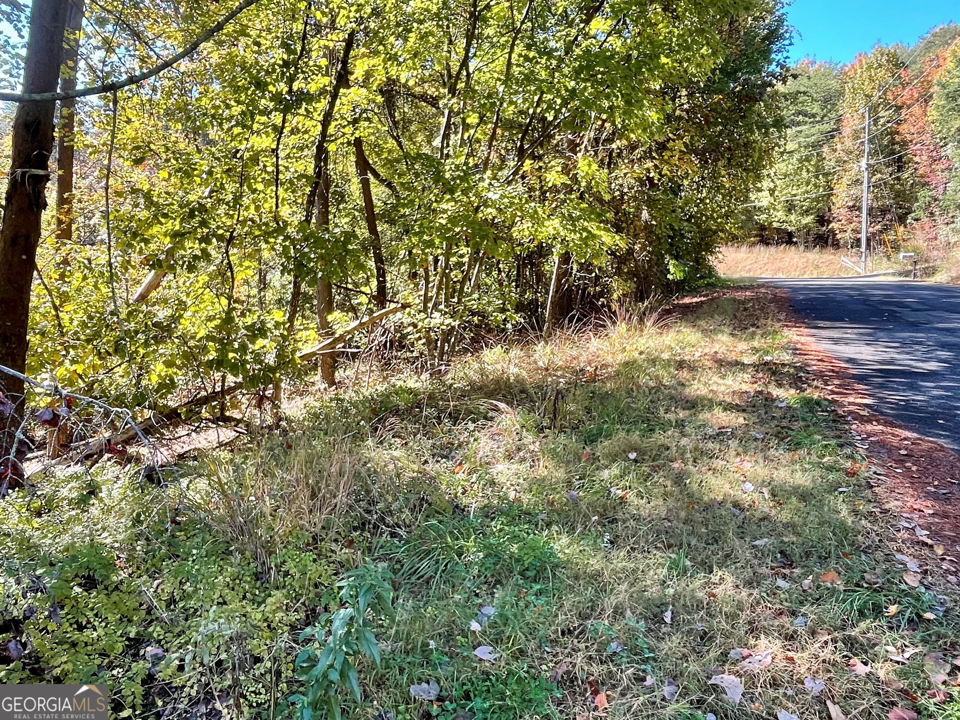 0 Lavender Trail Property Photo 1