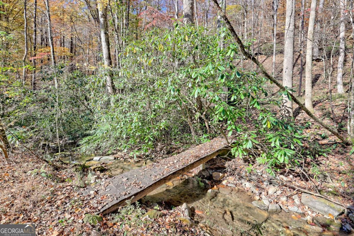 1307 Clear Creek Road Property Photo 5