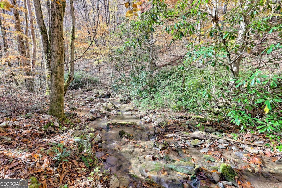 1307 Clear Creek Road Property Photo 6