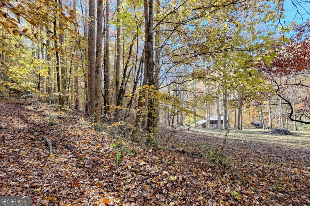 1307 Clear Creek Road Property Photo 7