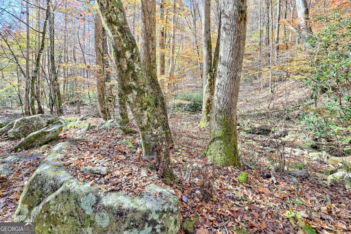 1307 Clear Creek Road Property Photo 8