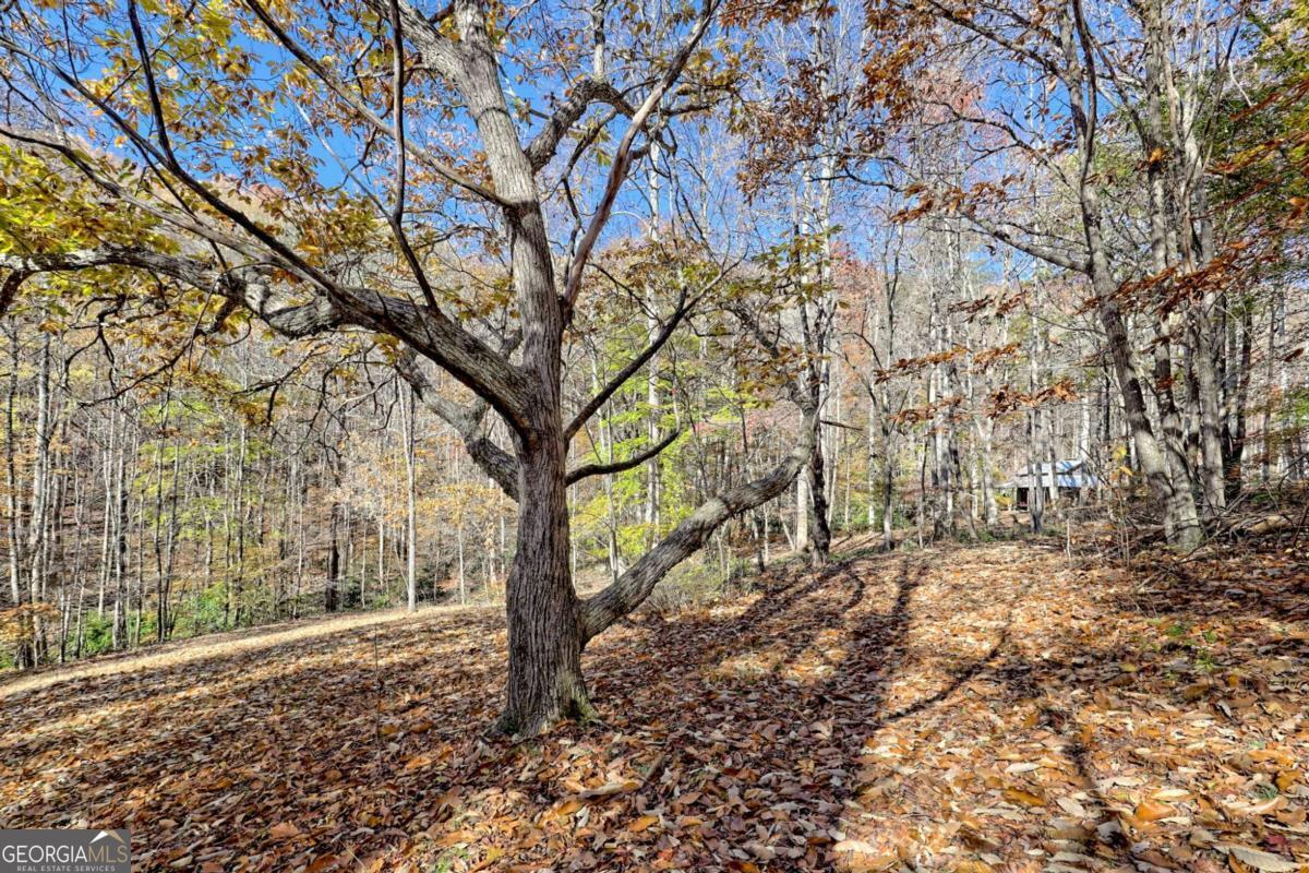 1307 Clear Creek Road Property Photo 43