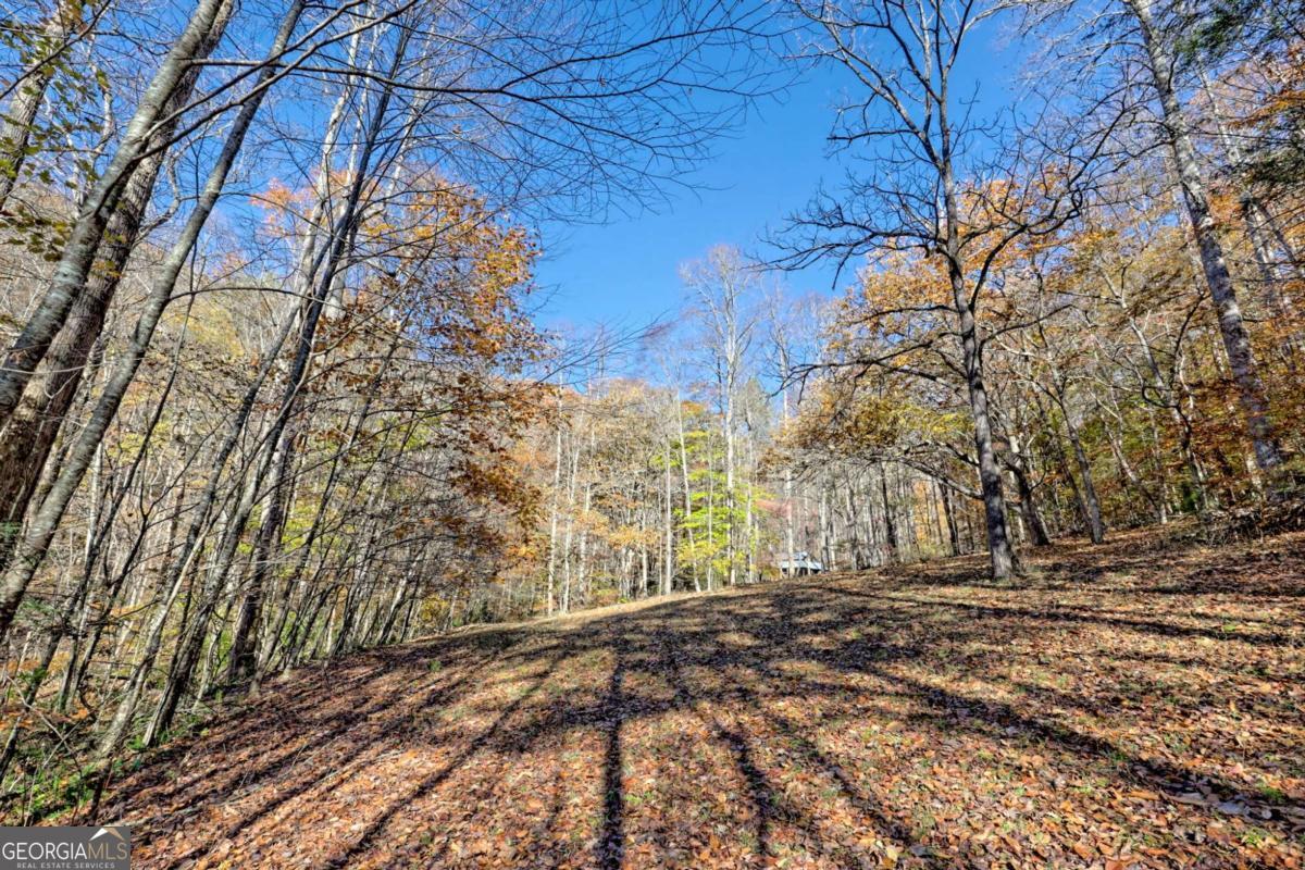 1307 Clear Creek Road Property Photo 44