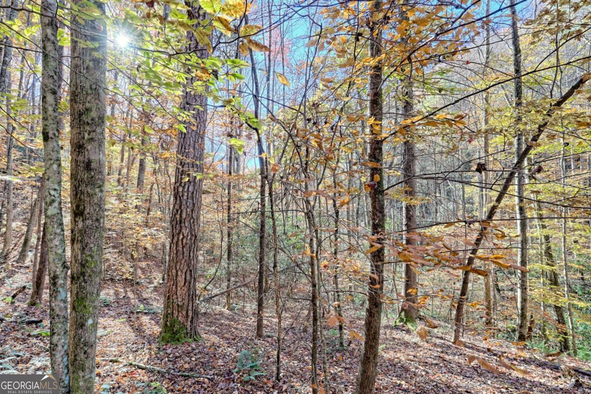 1307 Clear Creek Road Property Photo 45