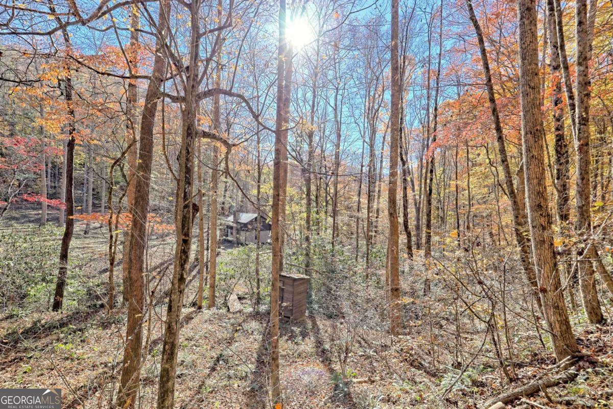1307 Clear Creek Road Property Photo 46