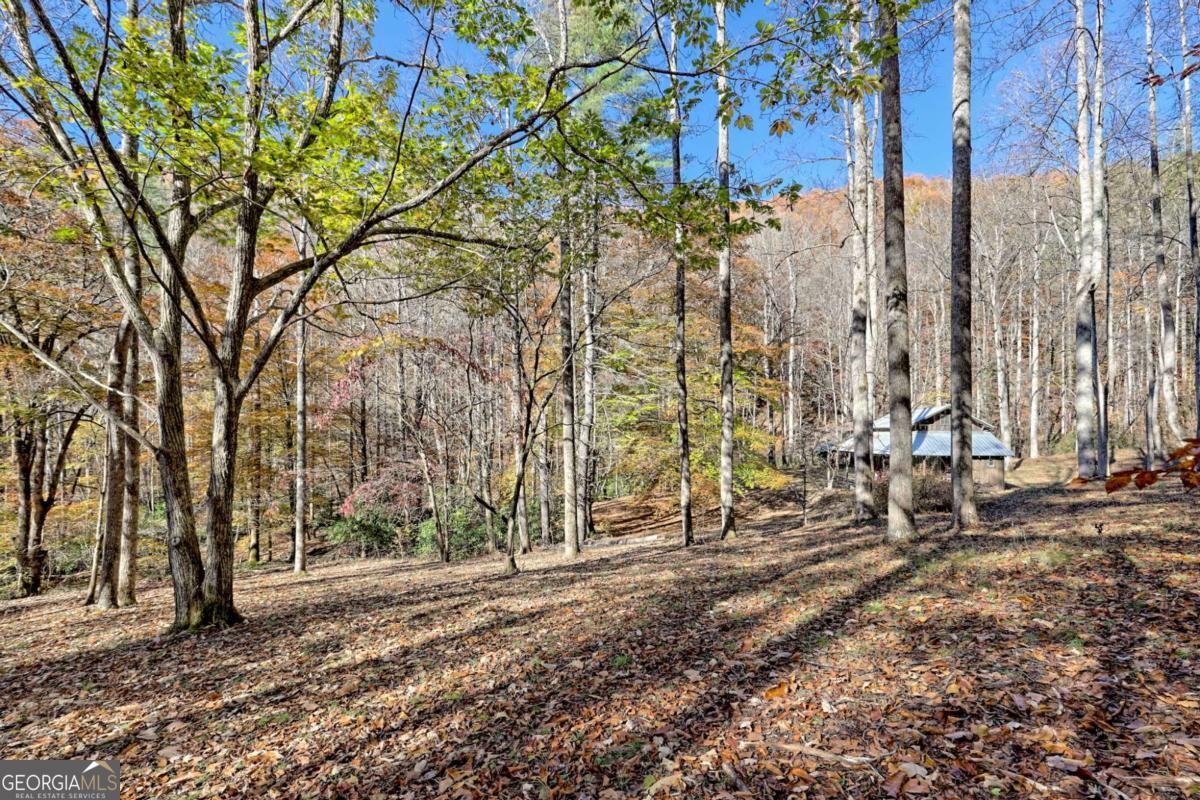 1307 Clear Creek Road Property Photo 48