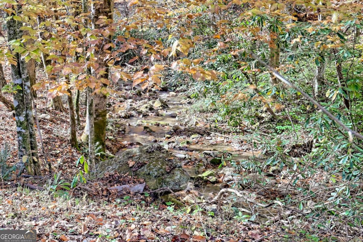 1307 Clear Creek Road Property Photo 55