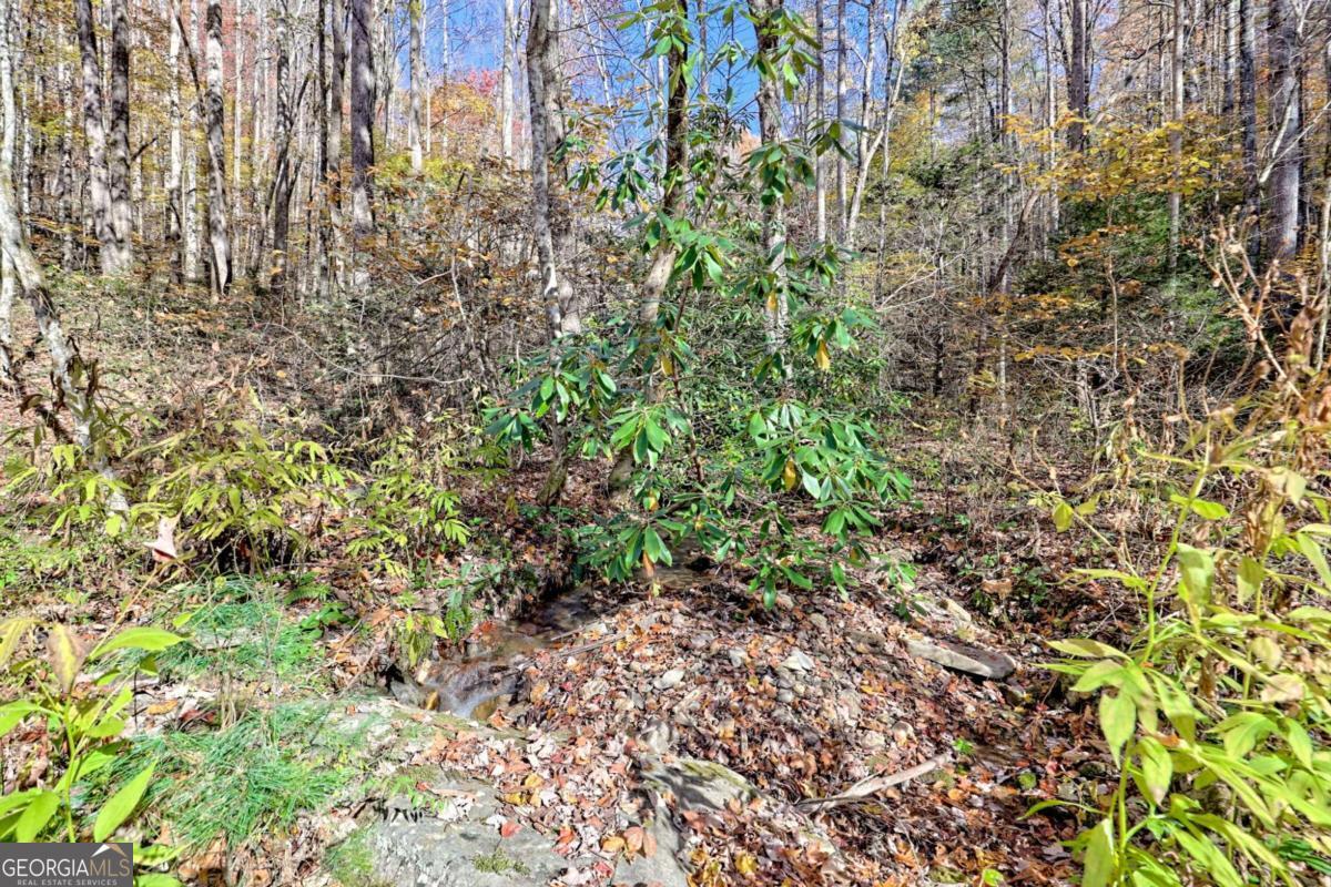 1307 Clear Creek Road Property Photo 56